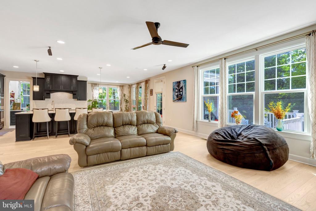 11413 WOODRUSH COURT