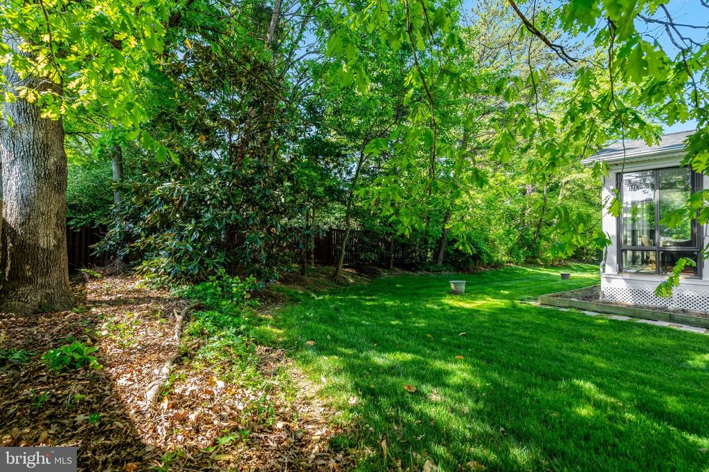 11413 WOODRUSH COURT