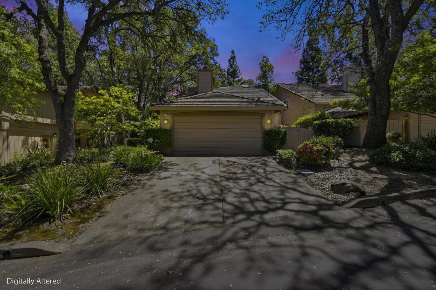 7419 Black Tree Lane