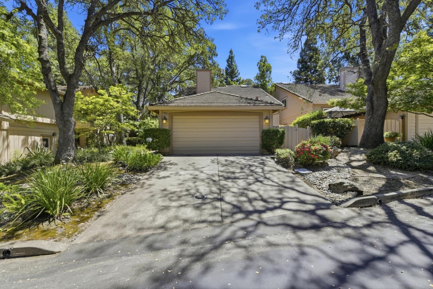 7419 Black Tree Lane