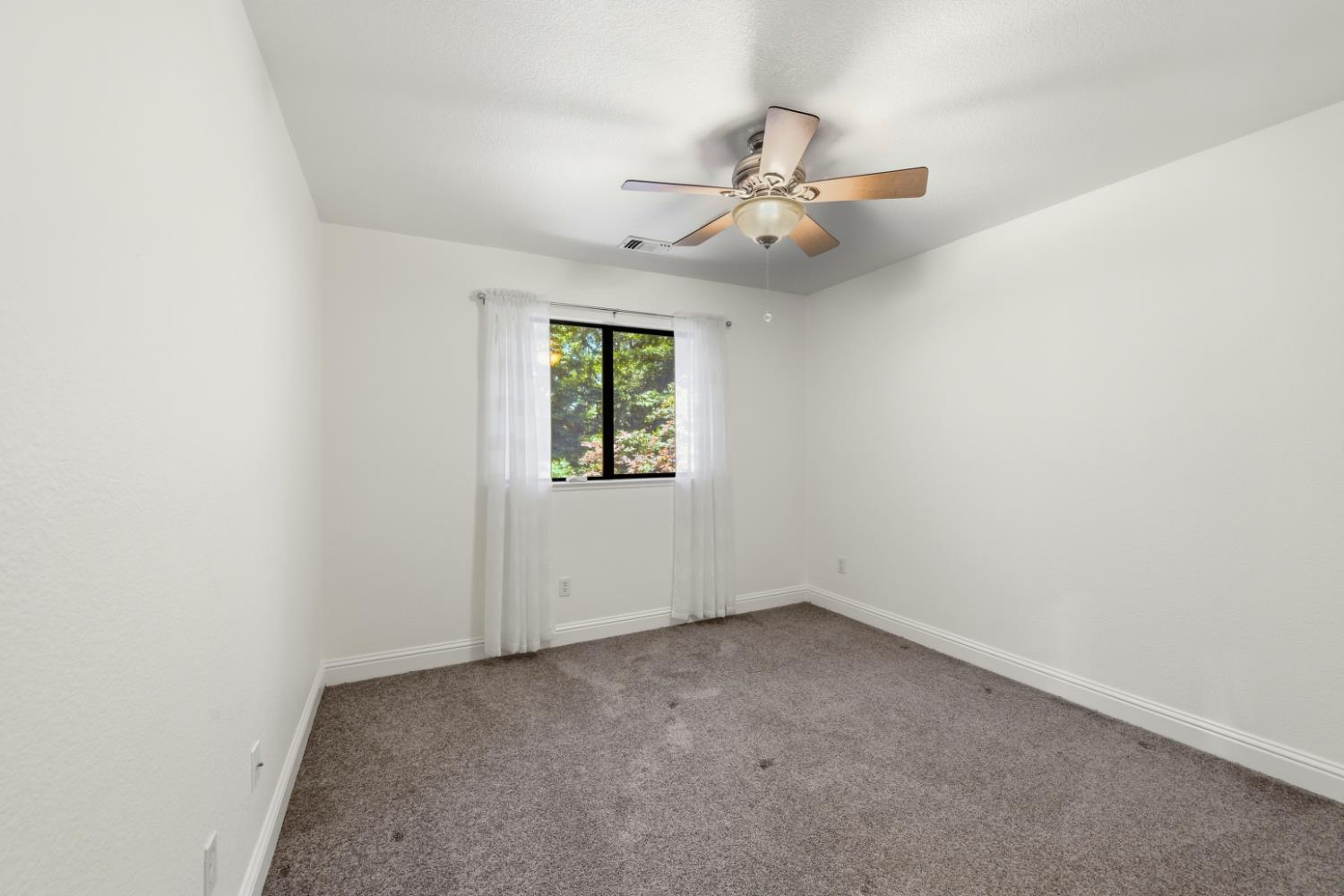 7419 Black Tree Lane