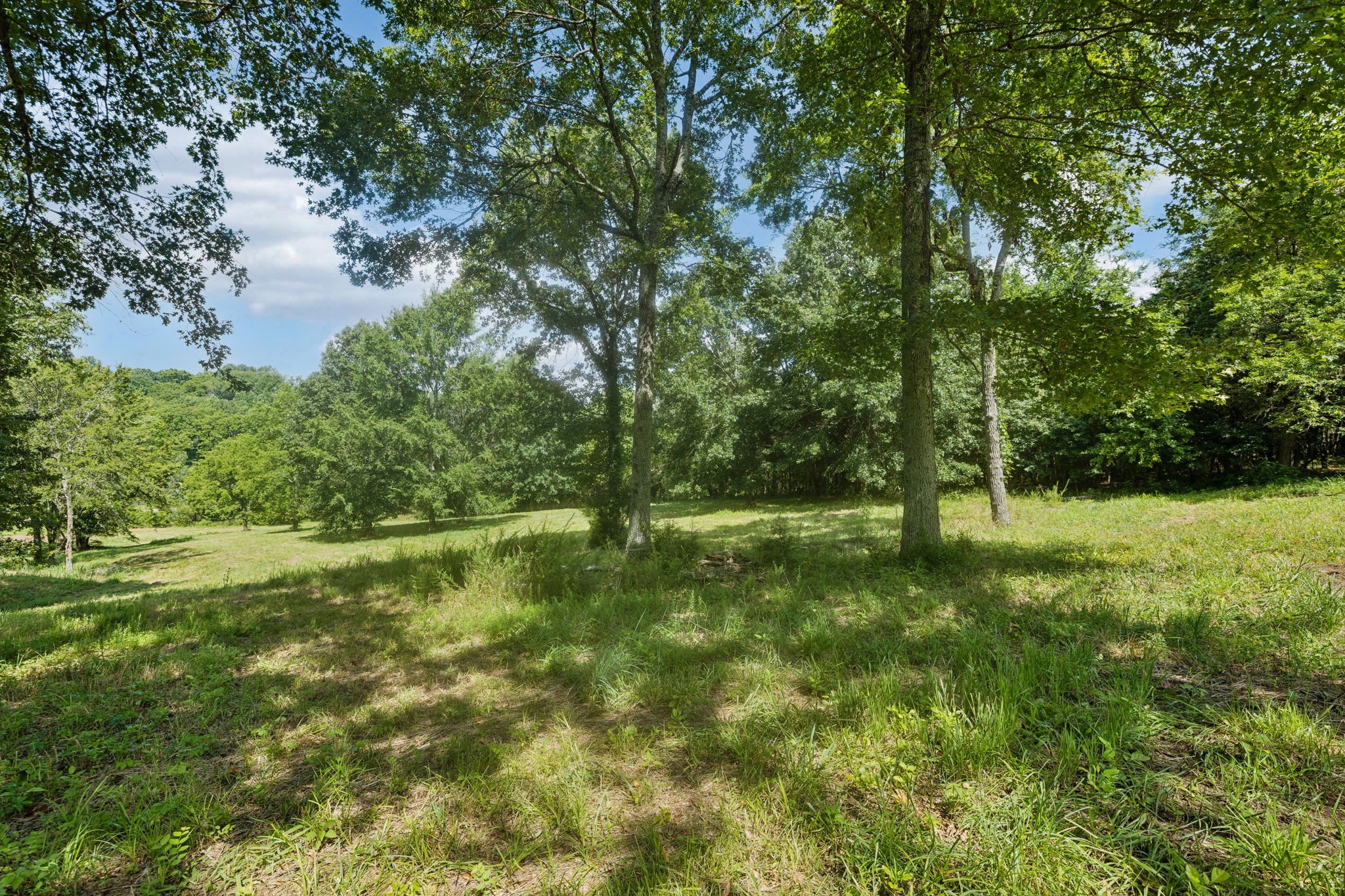 6456 Arno College Grove Rd