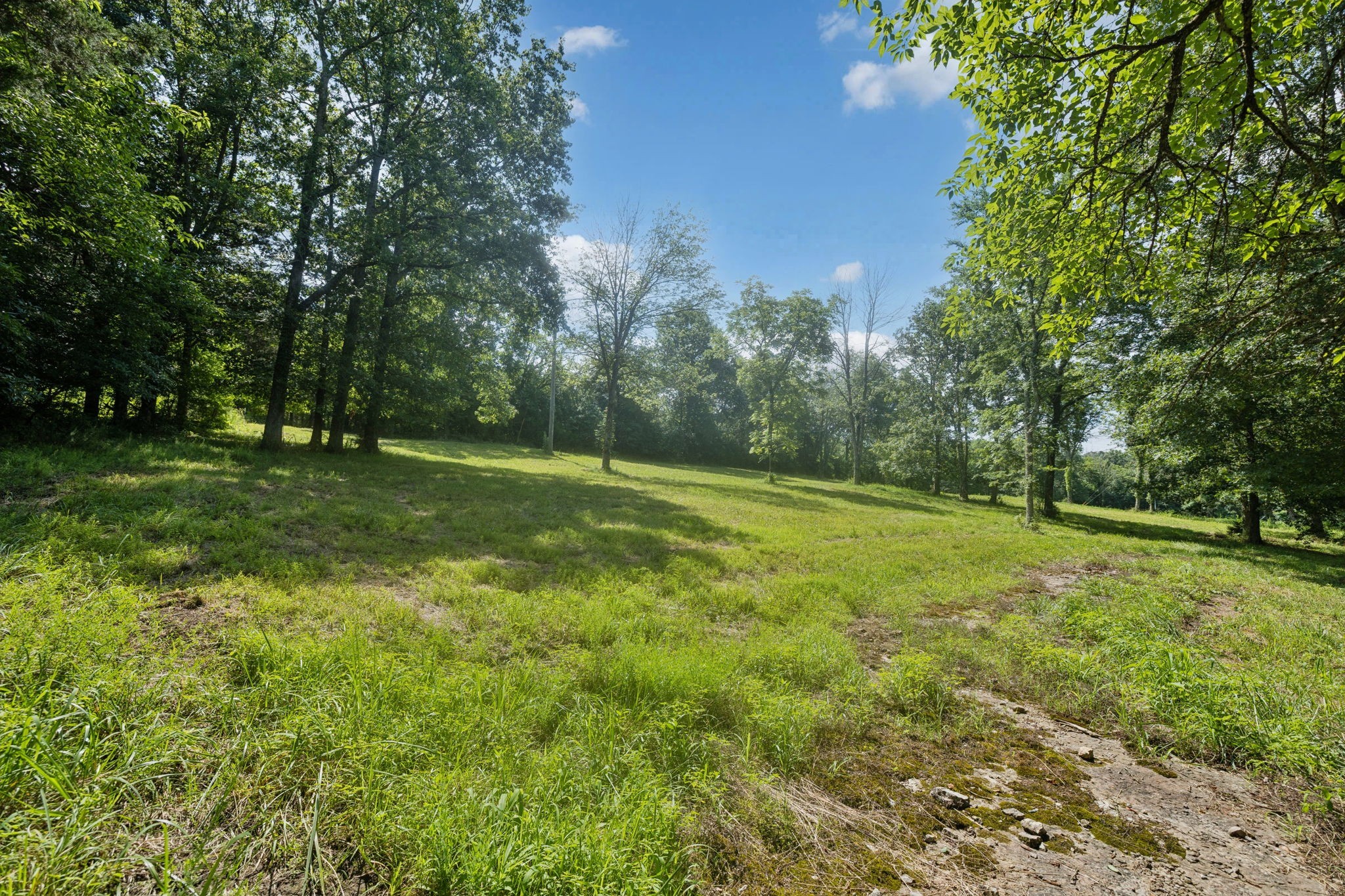 6456 Arno College Grove Rd