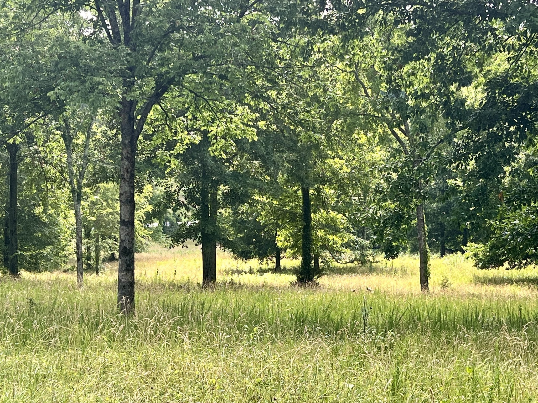 6456 Arno College Grove Rd