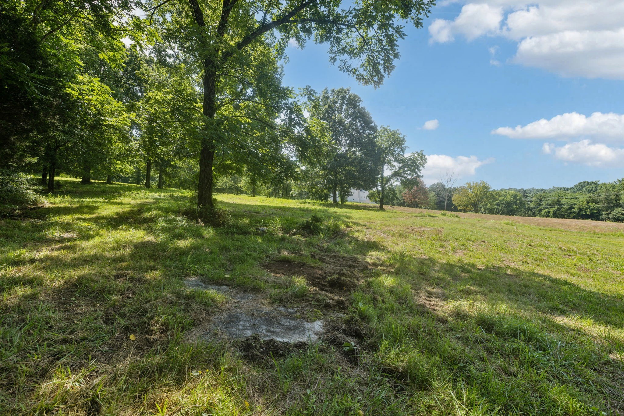 6456 Arno College Grove Rd