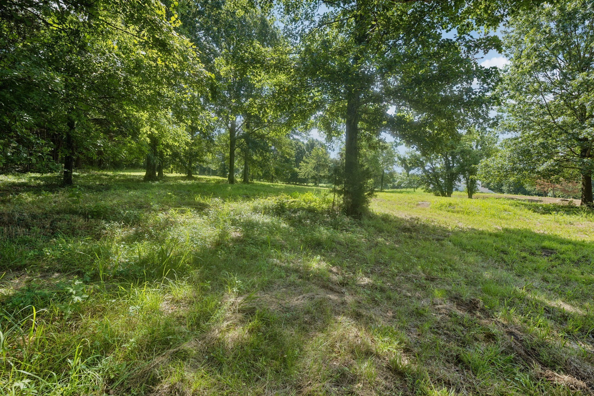 6456 Arno College Grove Rd