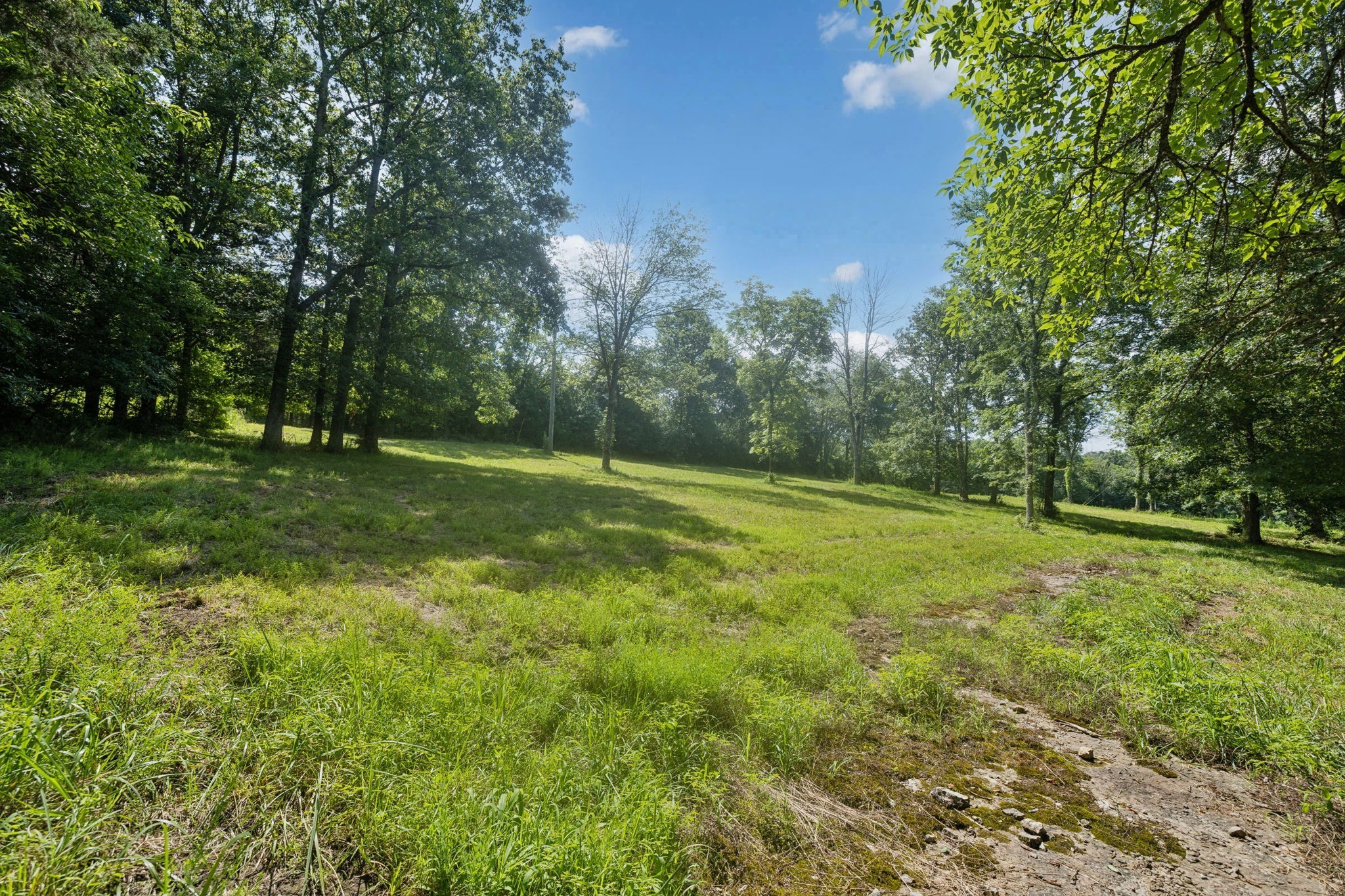 6456 Arno College Grove Rd