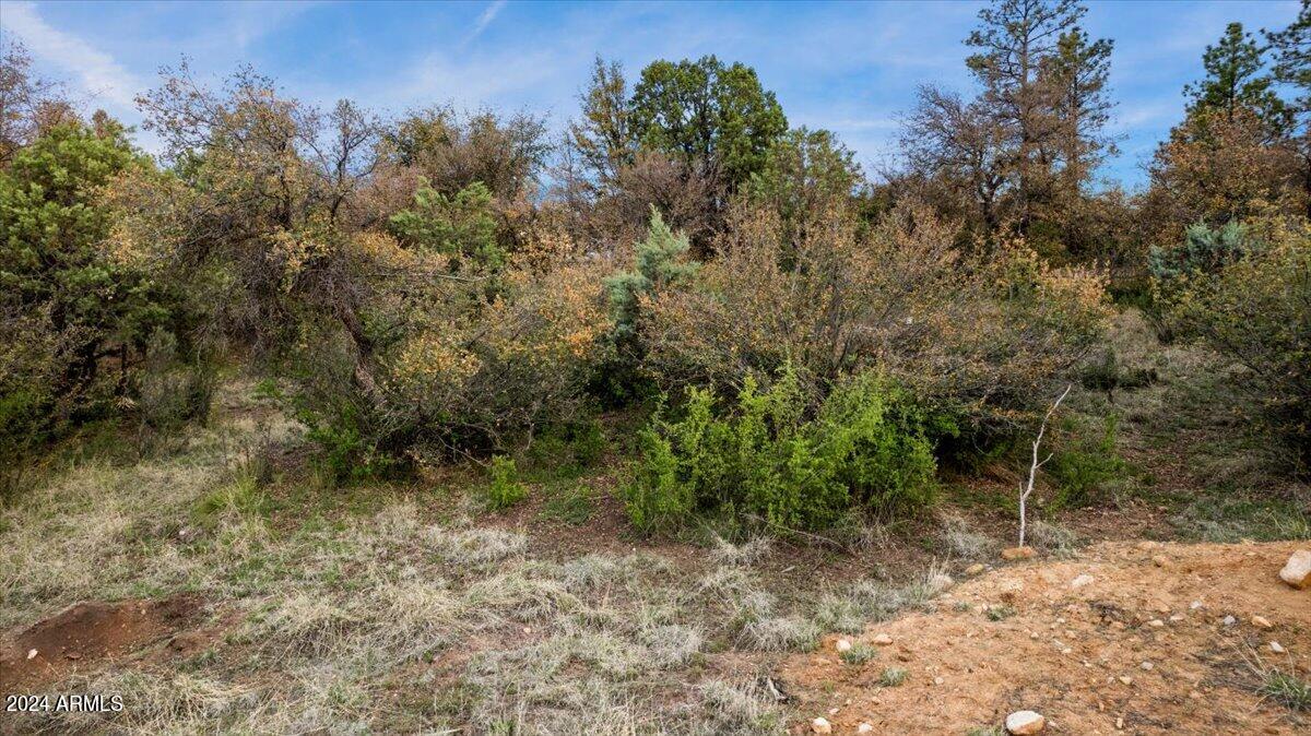 16 Highland Terrace, 85