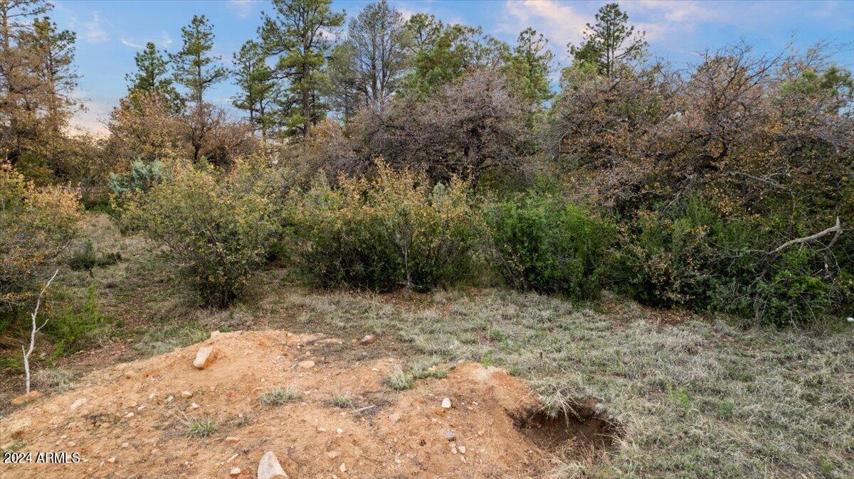 16 Highland Terrace, 85