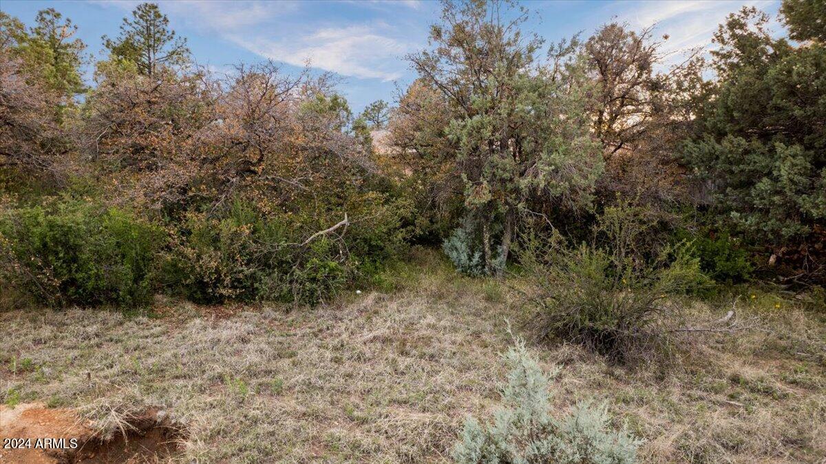 16 Highland Terrace, 85