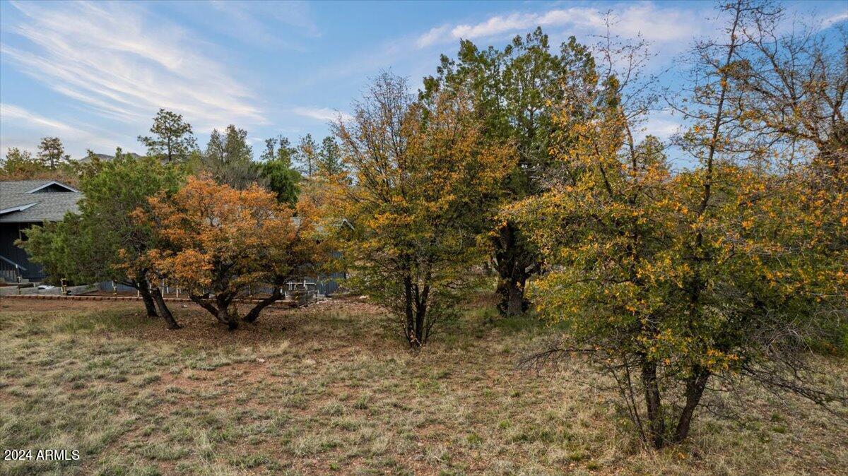 16 Highland Terrace, 85