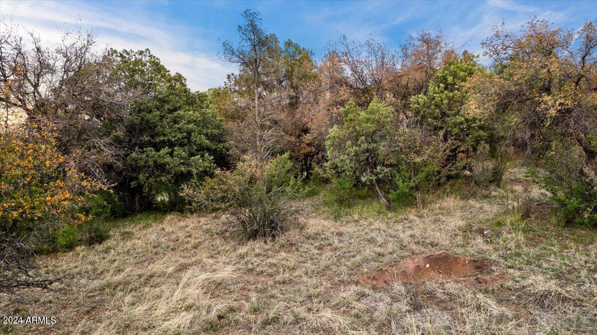 16 Highland Terrace, 85