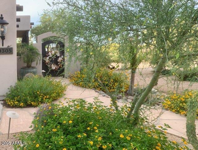 29305 N 146TH Street