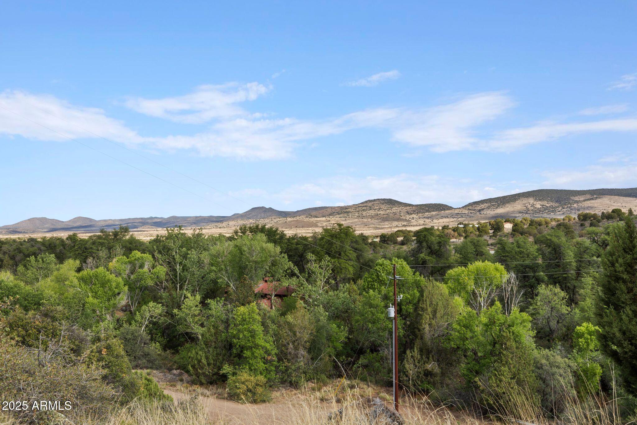 26580 E Tarantula Trail