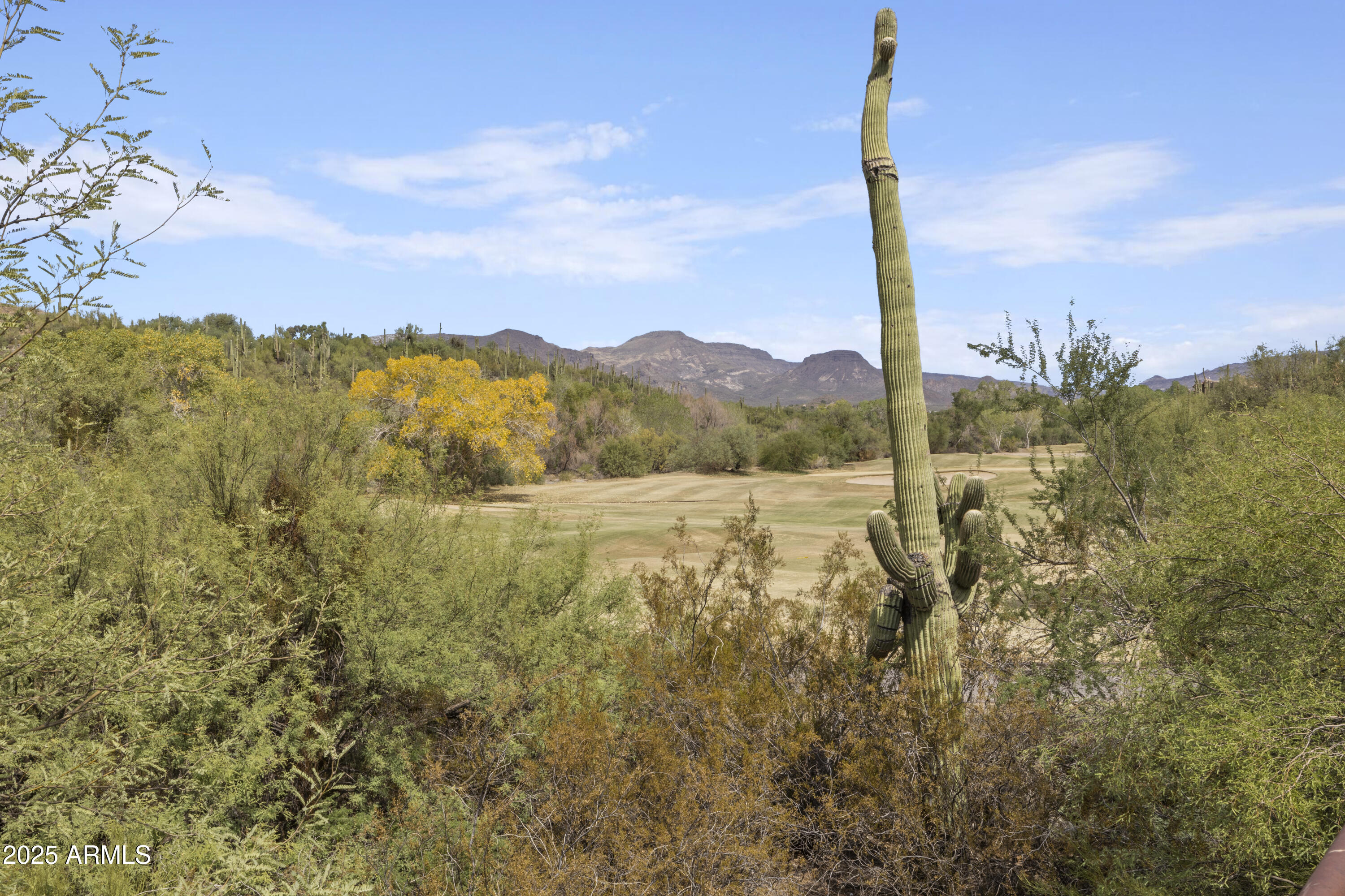 38467 N FAIRWAY Trail