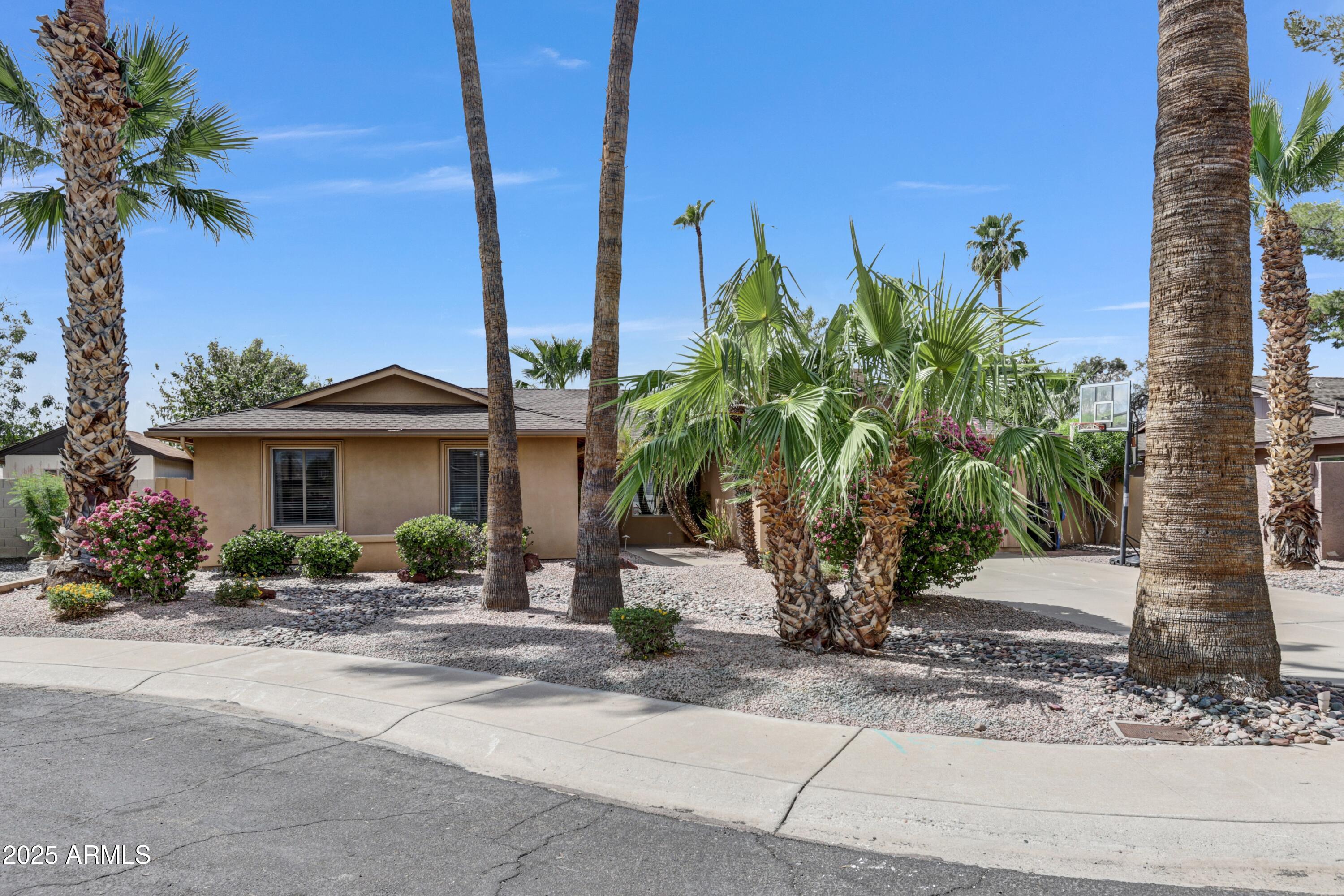 Tan single-story home framed by tall palms, with desert landscaping and a basketball hoop.