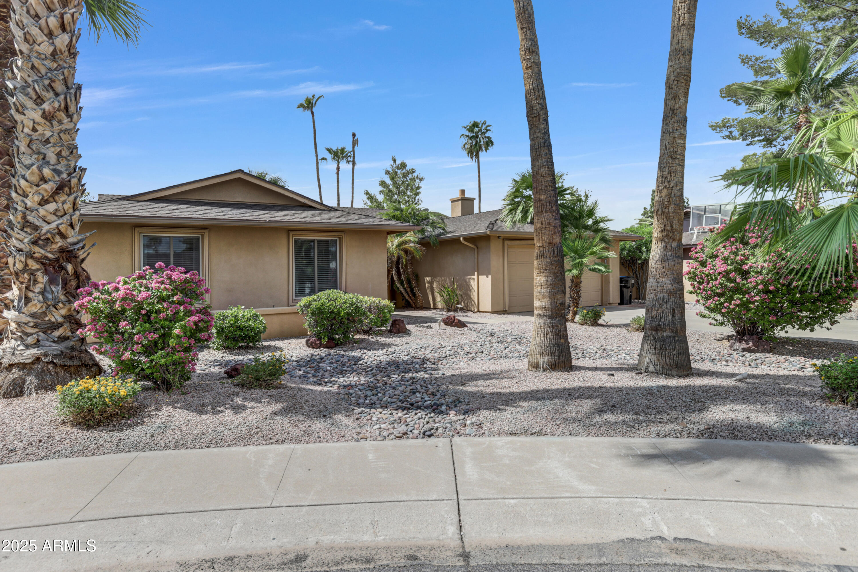 Single-story tan stucco home with a garage, palm trees, and flowering shrubs in a rock landscaped yard.