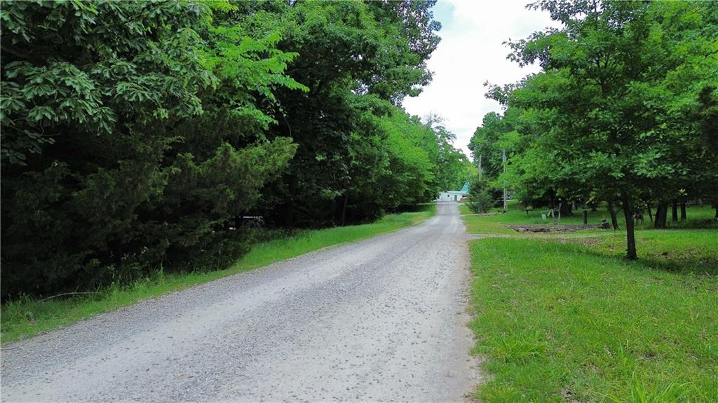 33 Mystery Lane