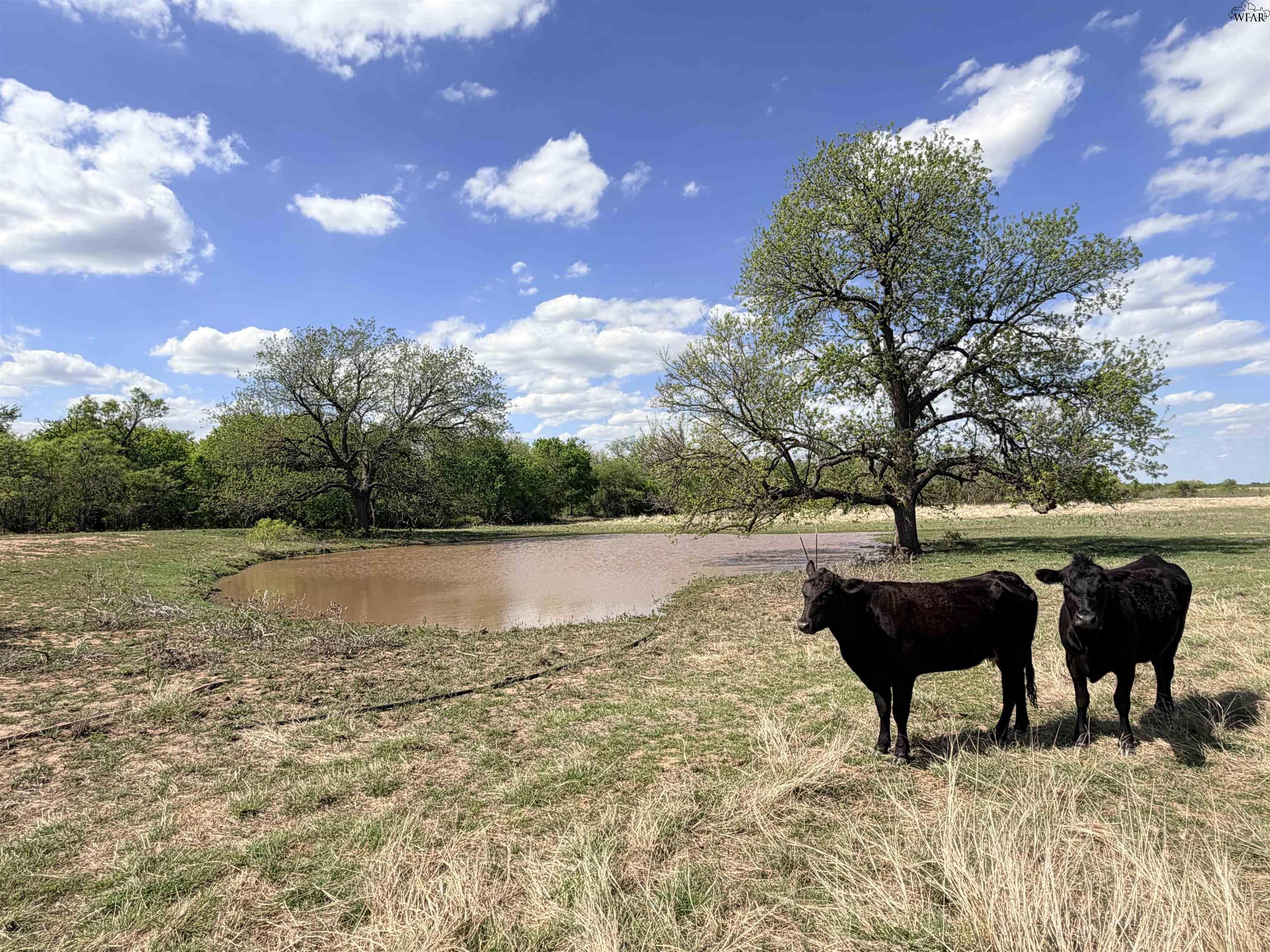 402 N FM 369