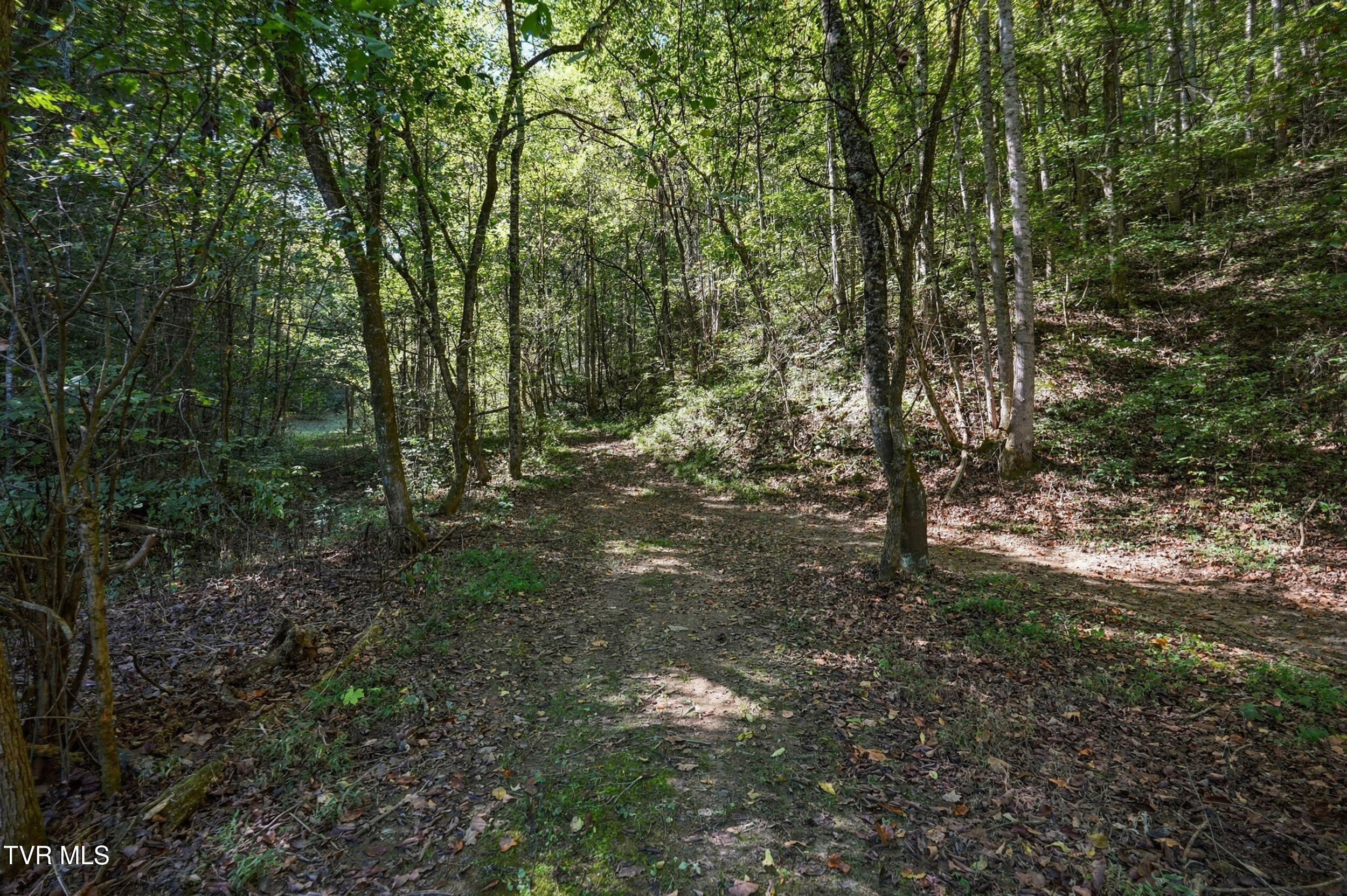 2608 Beech Creek Road