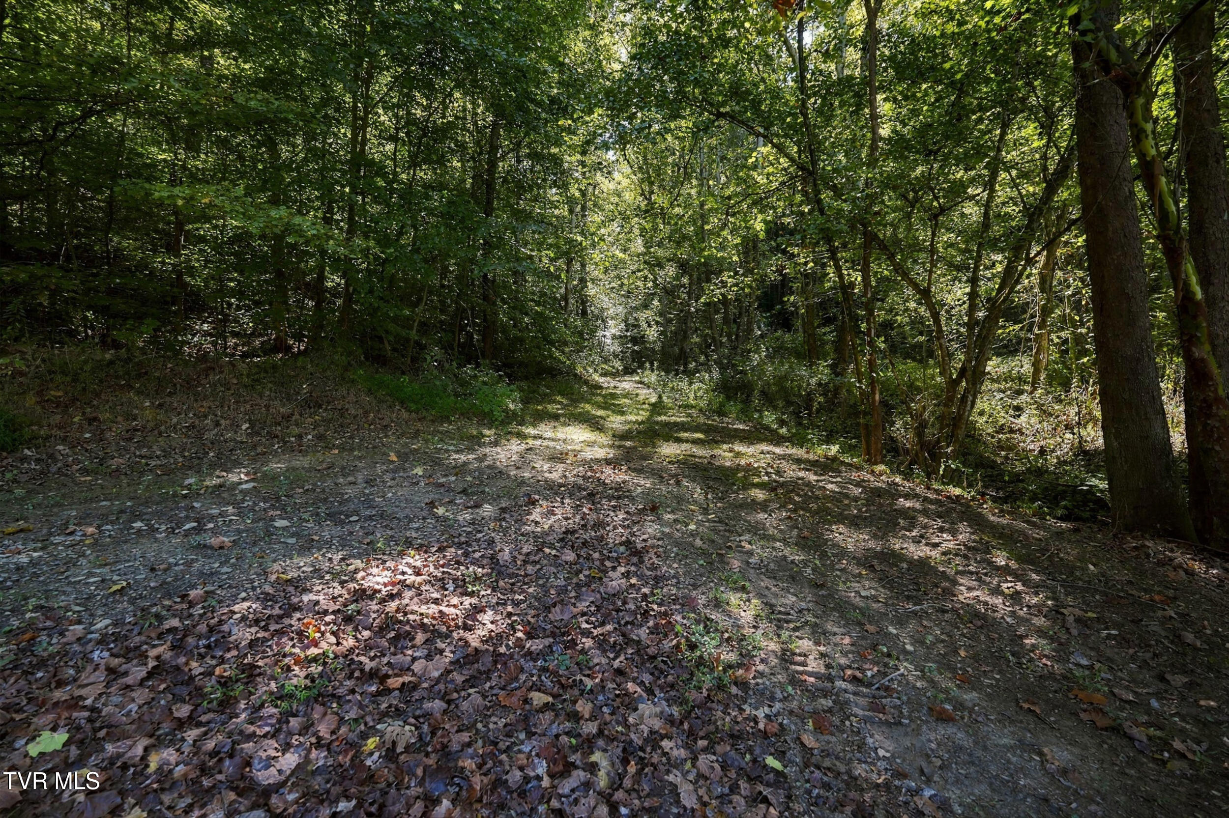 2608 Beech Creek Road