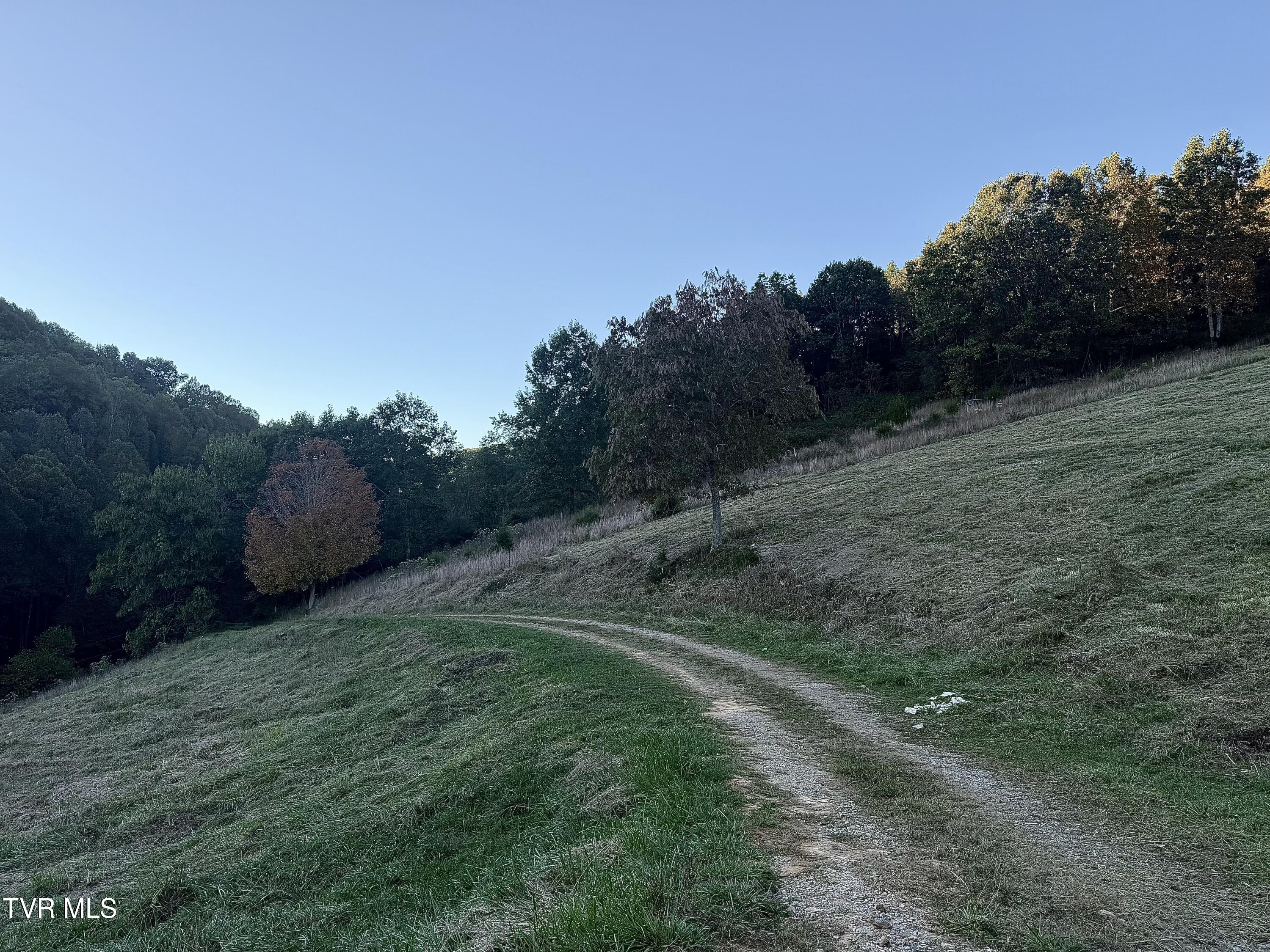 431 Strong Hollow Lane