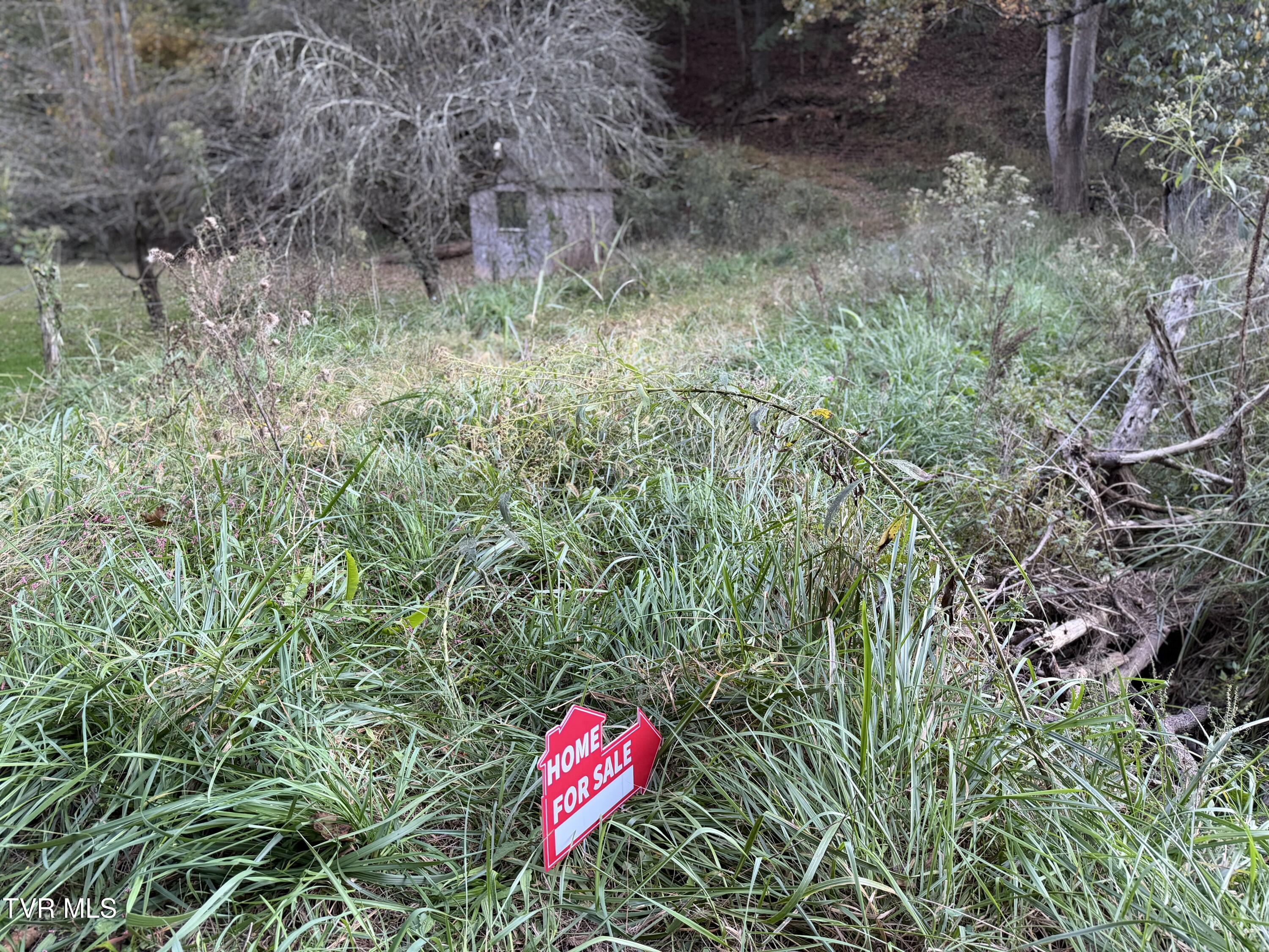 431 Strong Hollow Lane