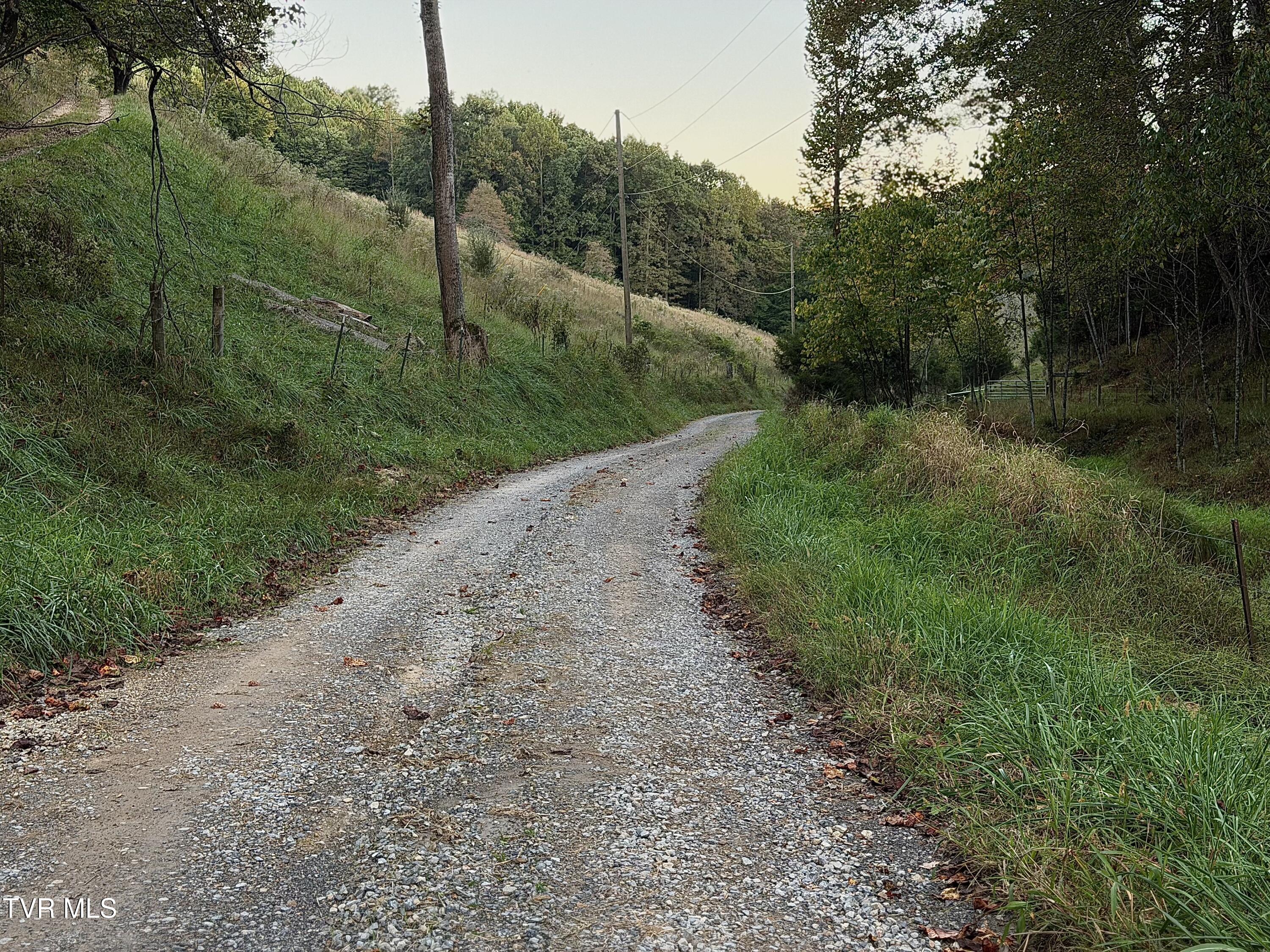 431 Strong Hollow Lane