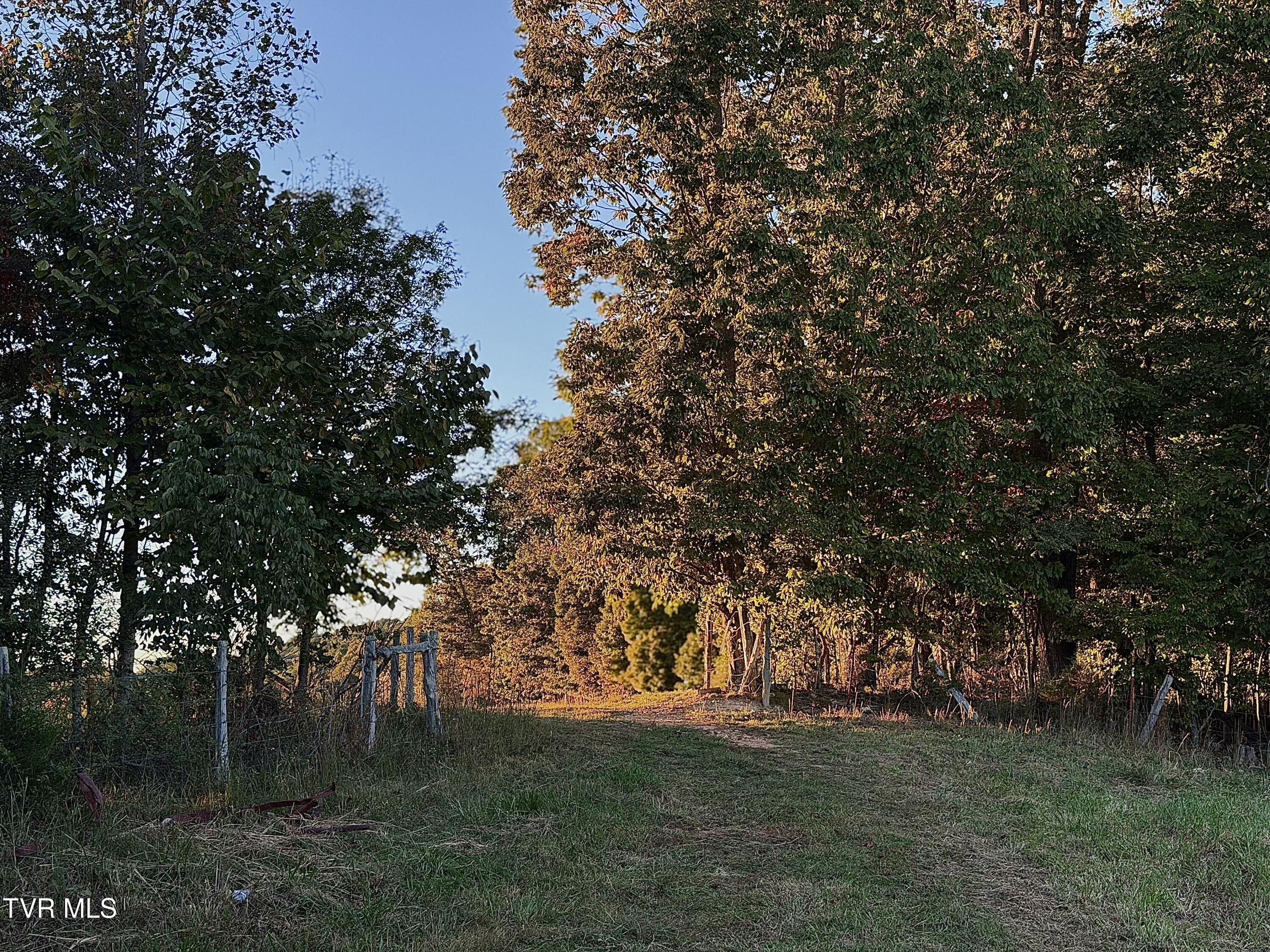 431 Strong Hollow Lane