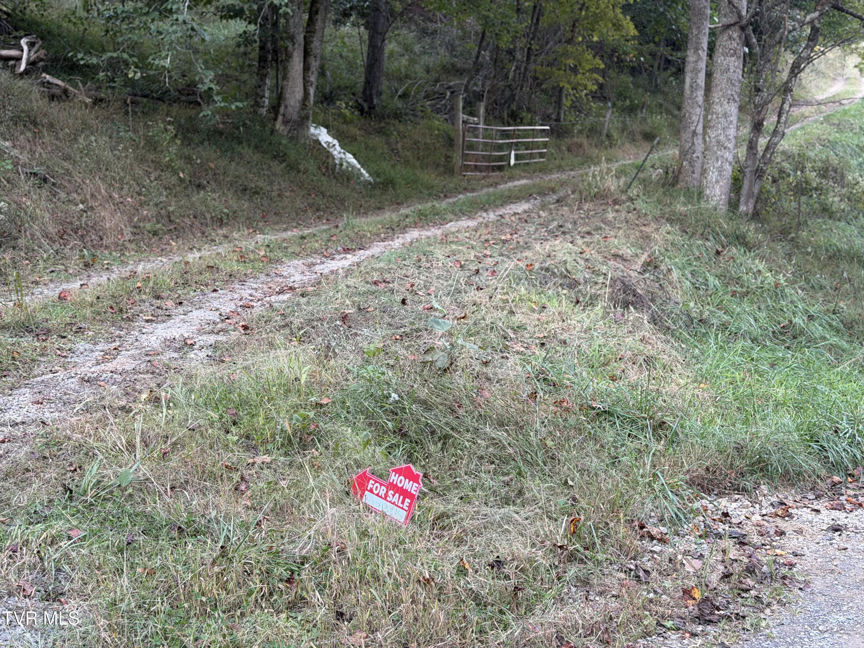 431 Strong Hollow Lane
