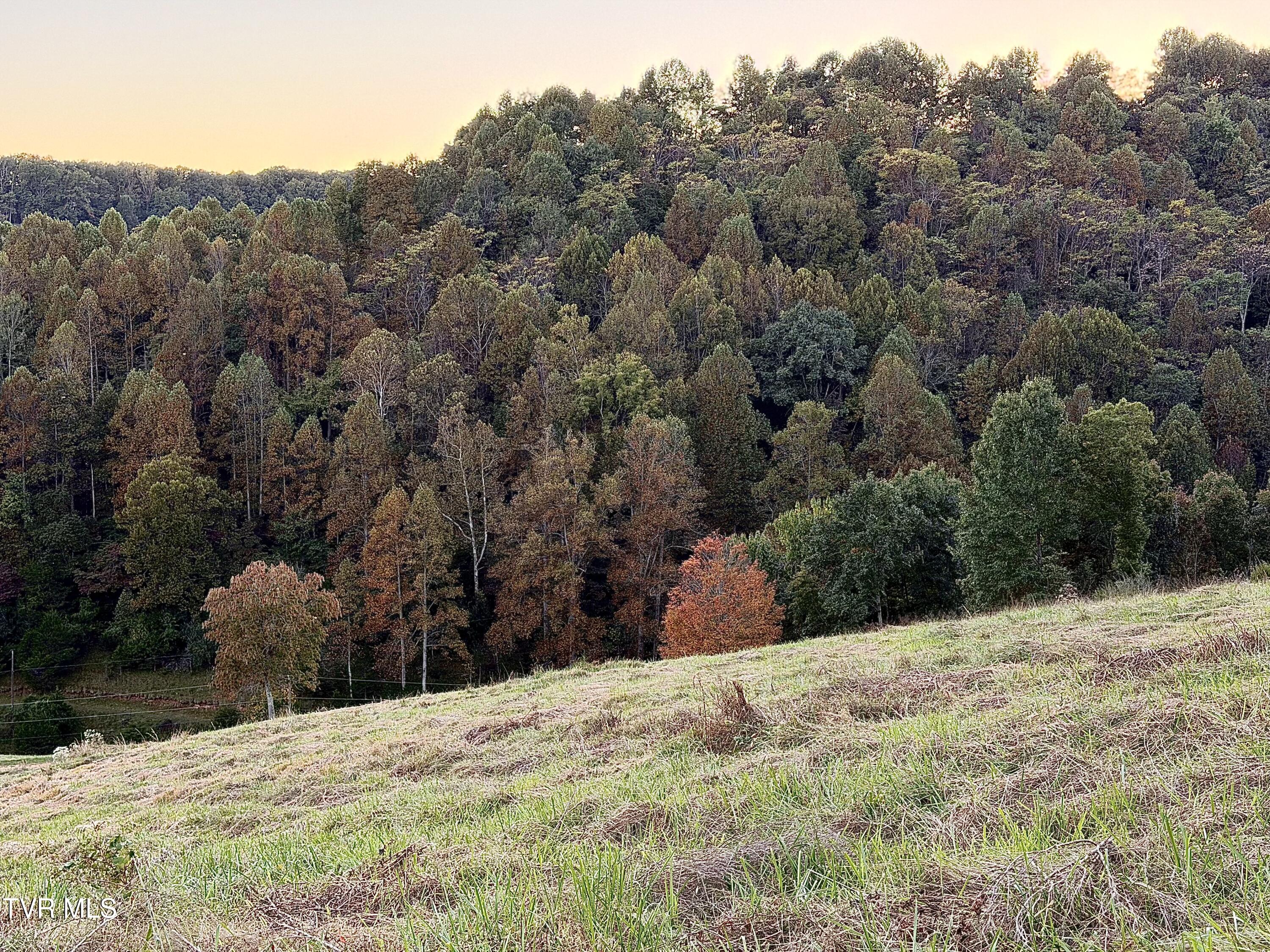 431 Strong Hollow Lane
