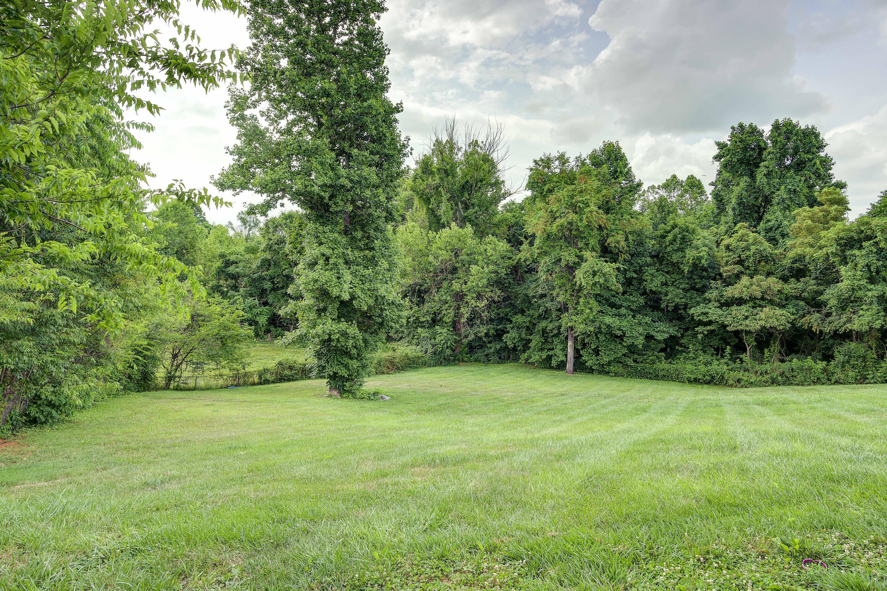 33 Mockingbird Court
