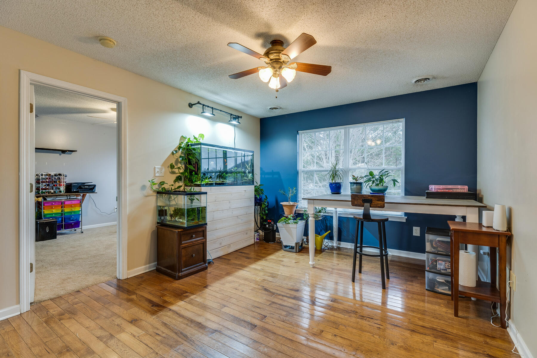 229 Jaybird Court