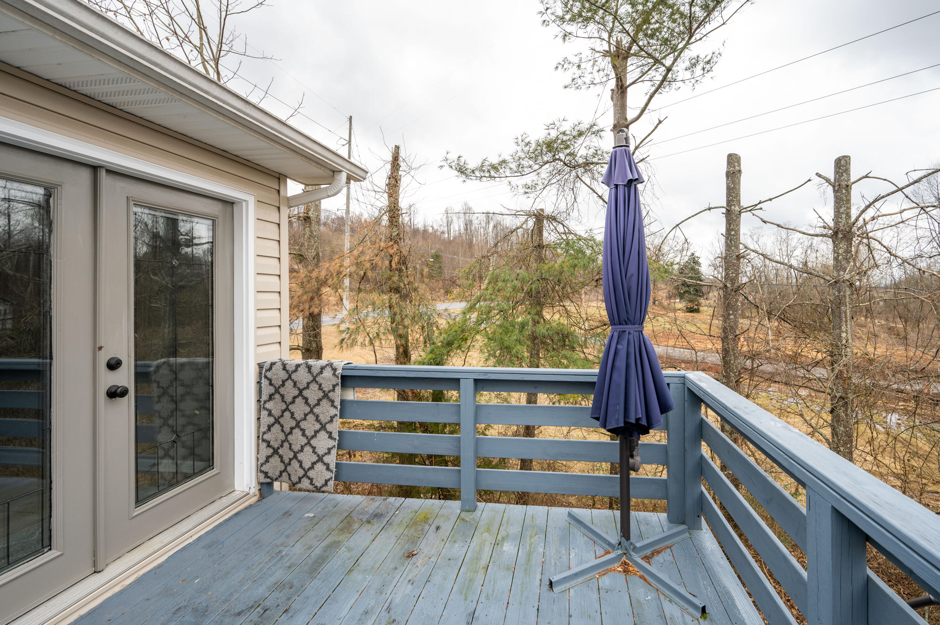 101 Sapling Grove Court