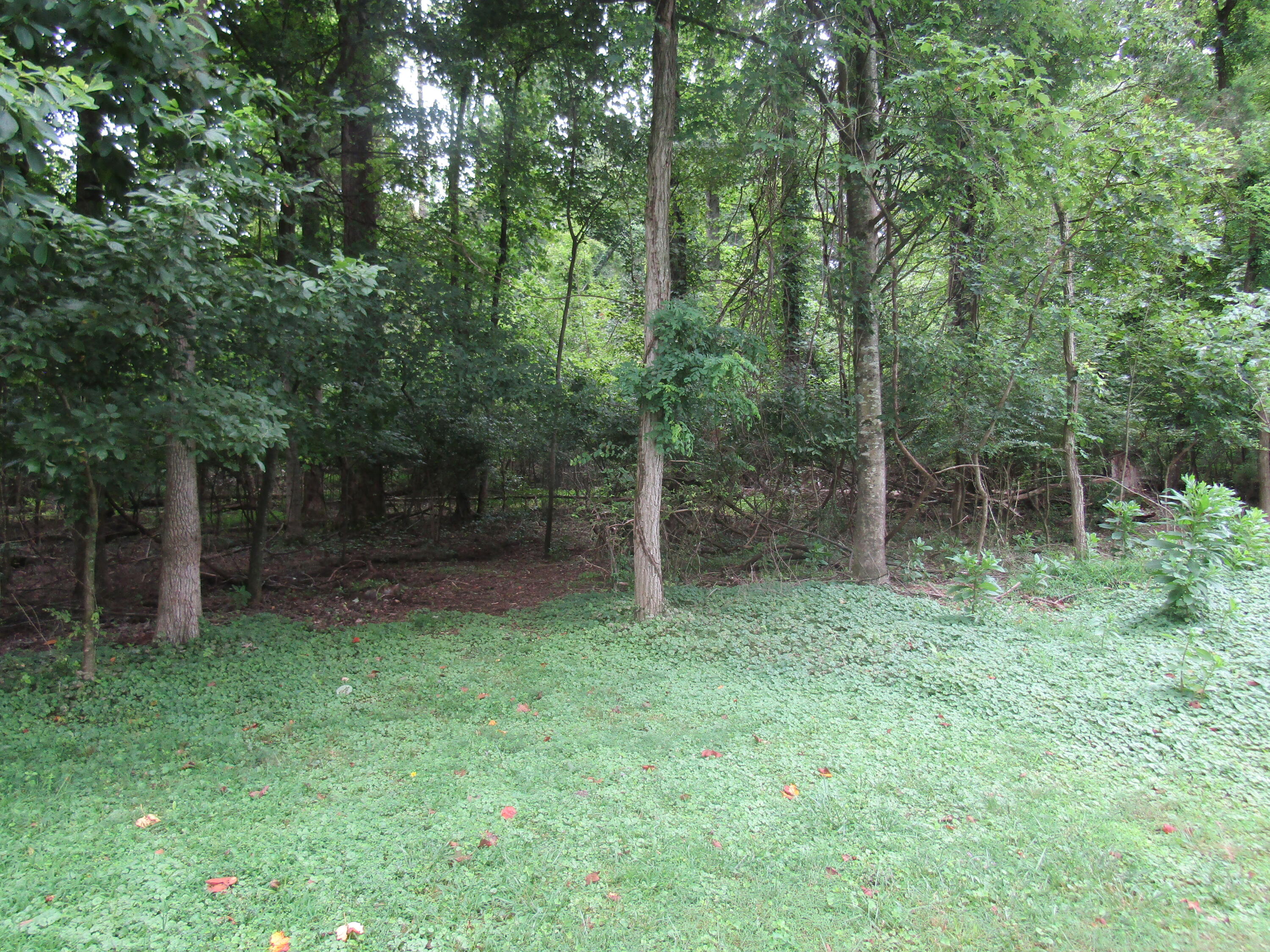Tbd Baywood Dr S Of Drive