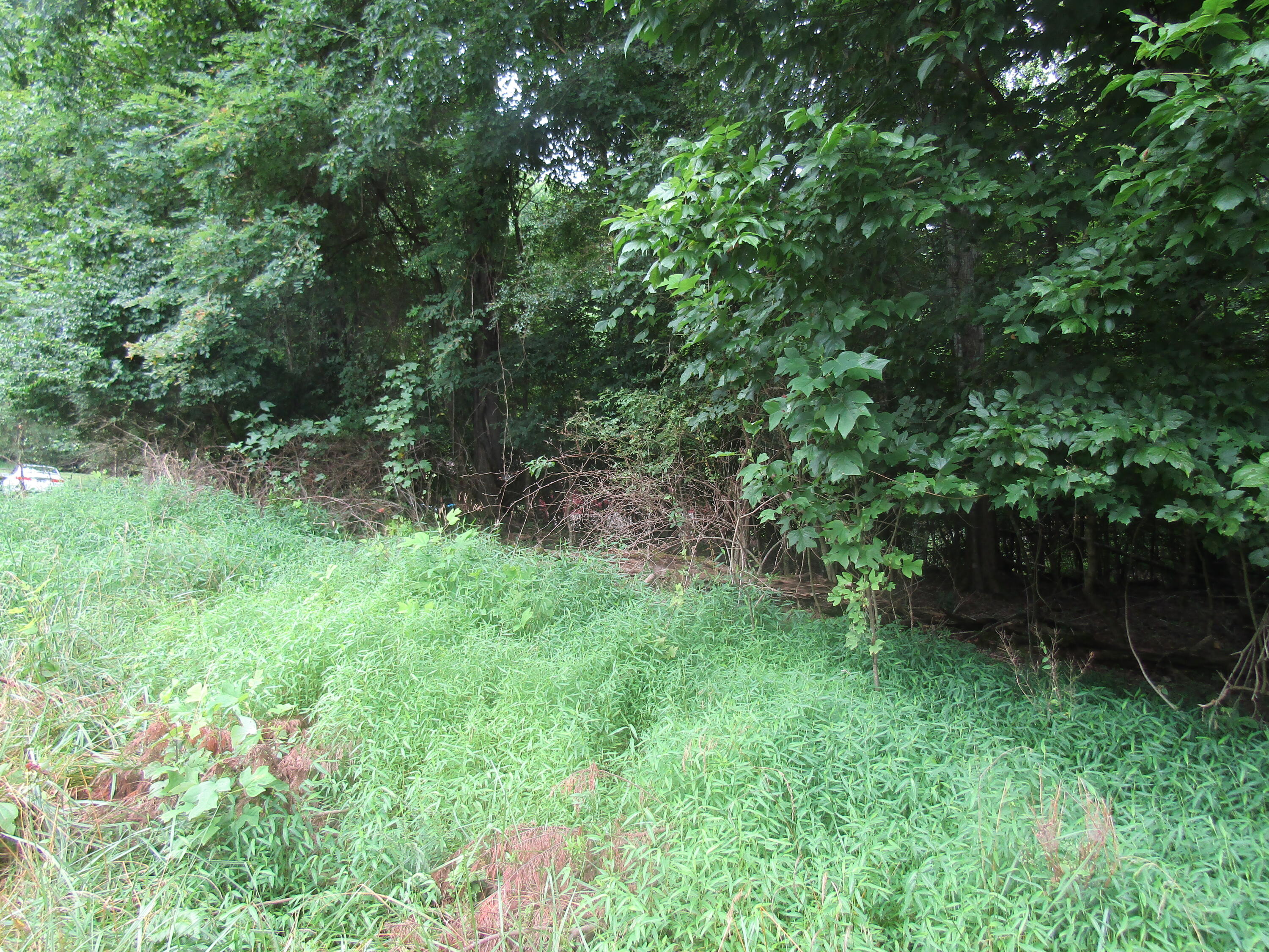 Tbd Baywood Dr S Of Drive