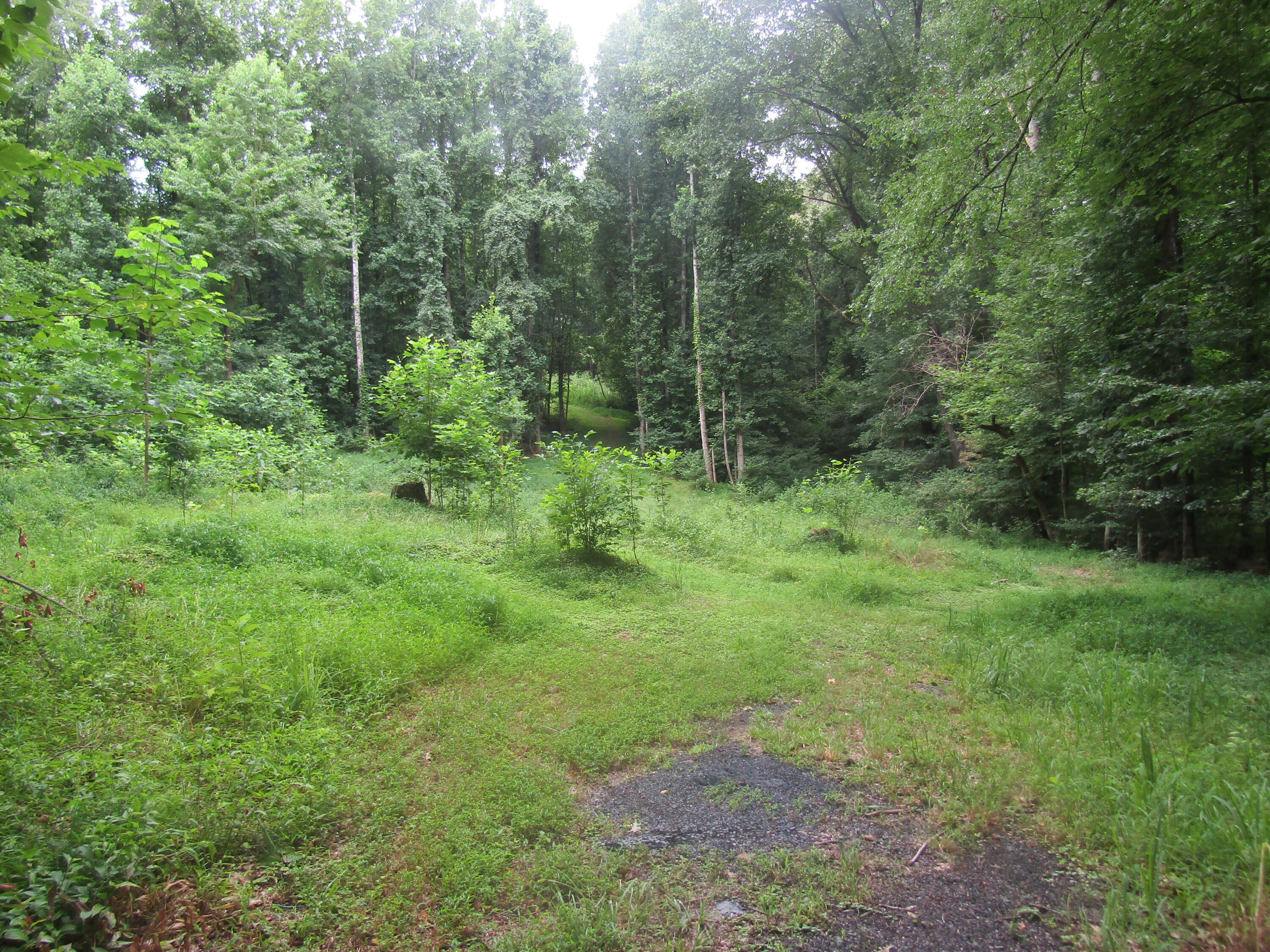 Tbd Baywood Dr S Of Drive