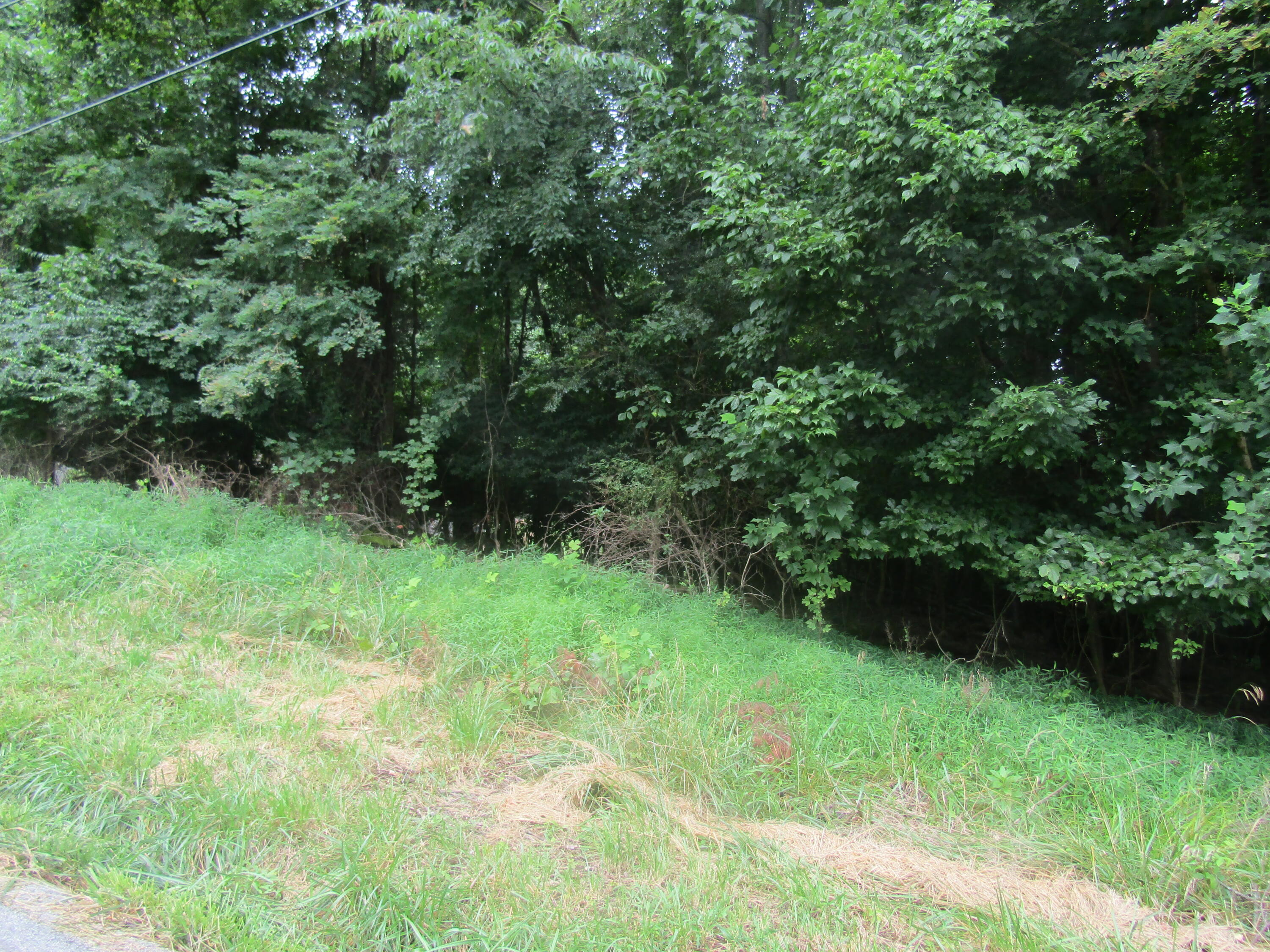 Tbd Baywood Dr S Of Drive