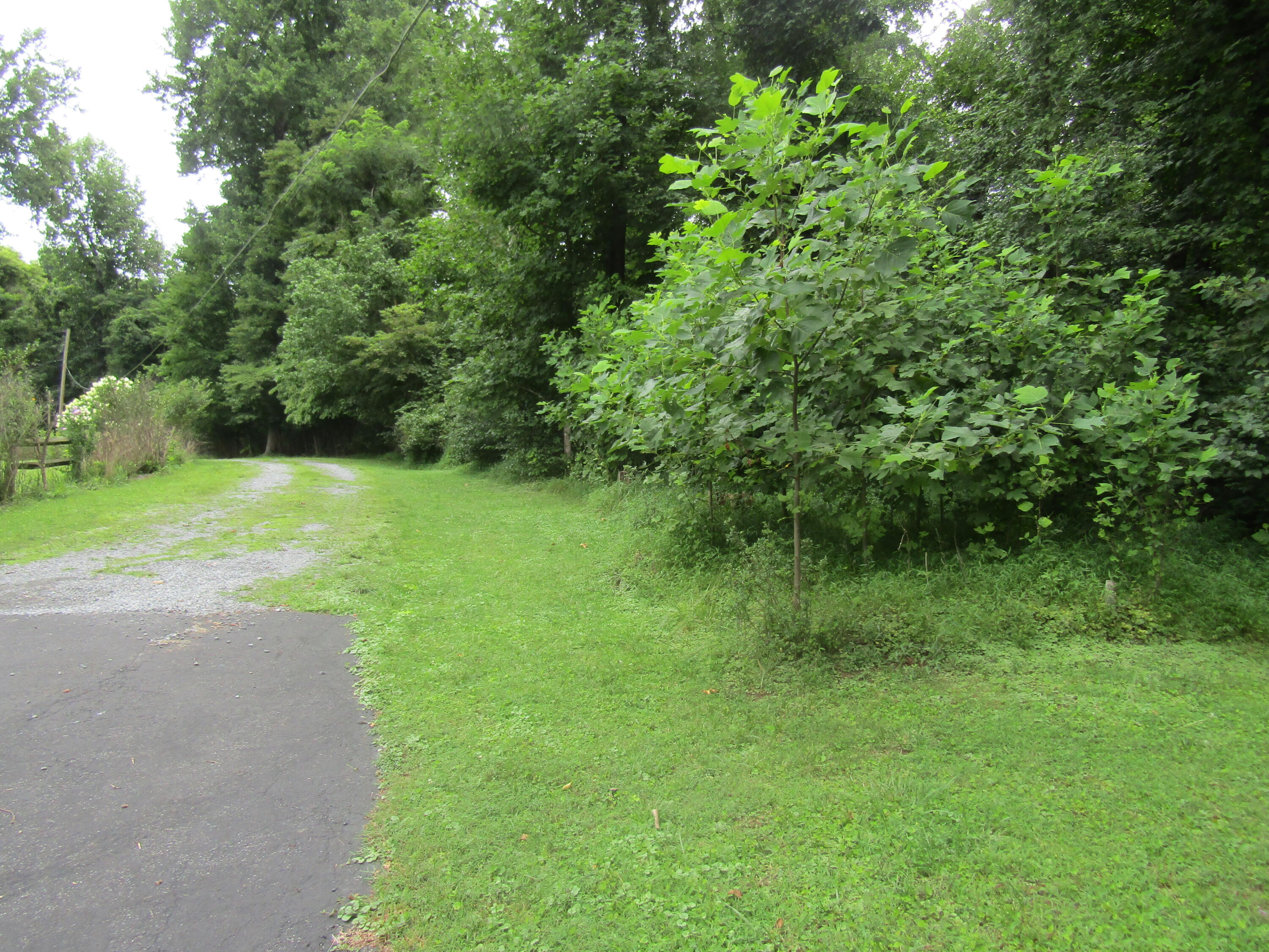 Tbd Baywood Dr S Of Drive