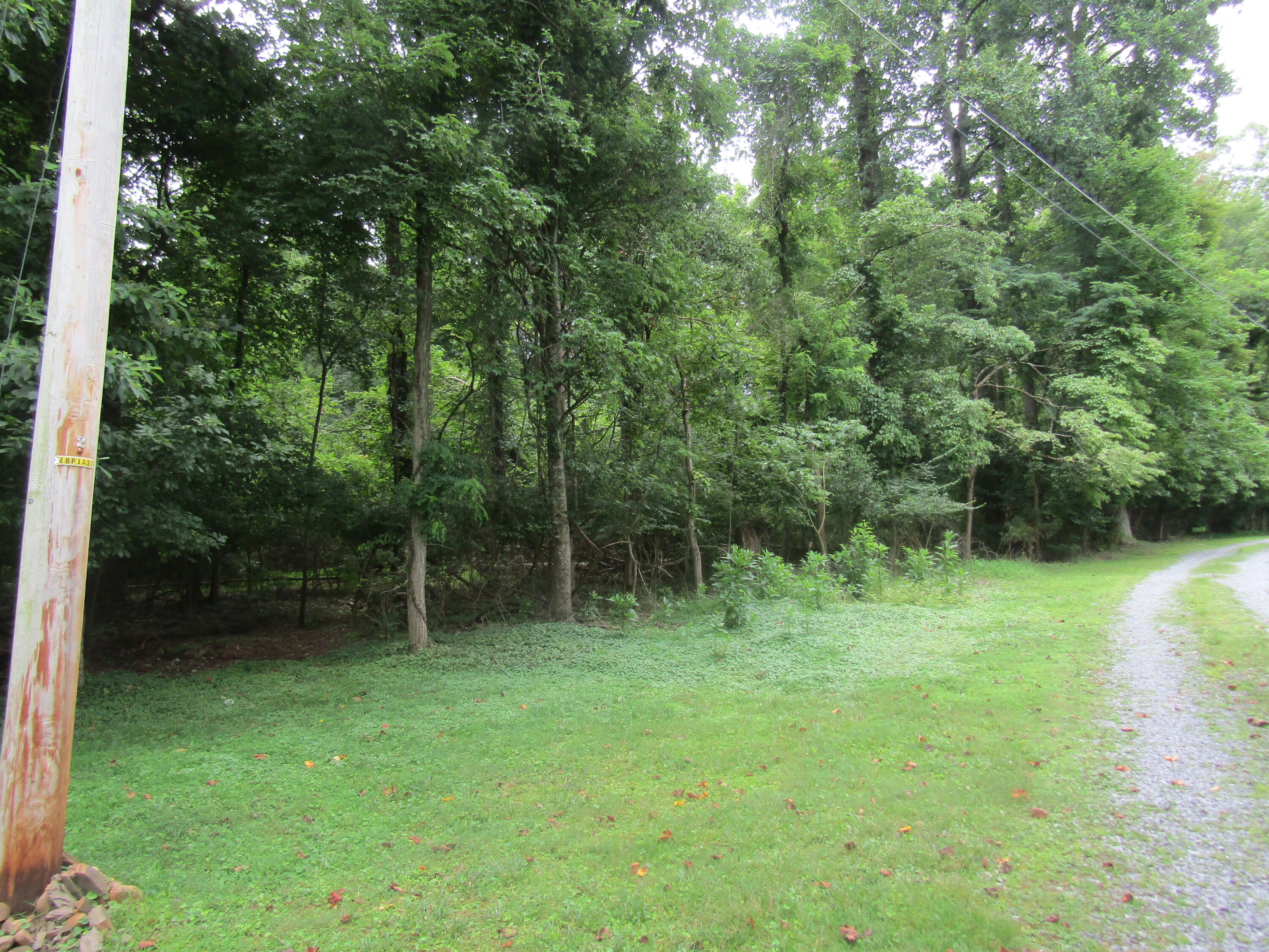 Tbd Baywood Dr S Of Drive