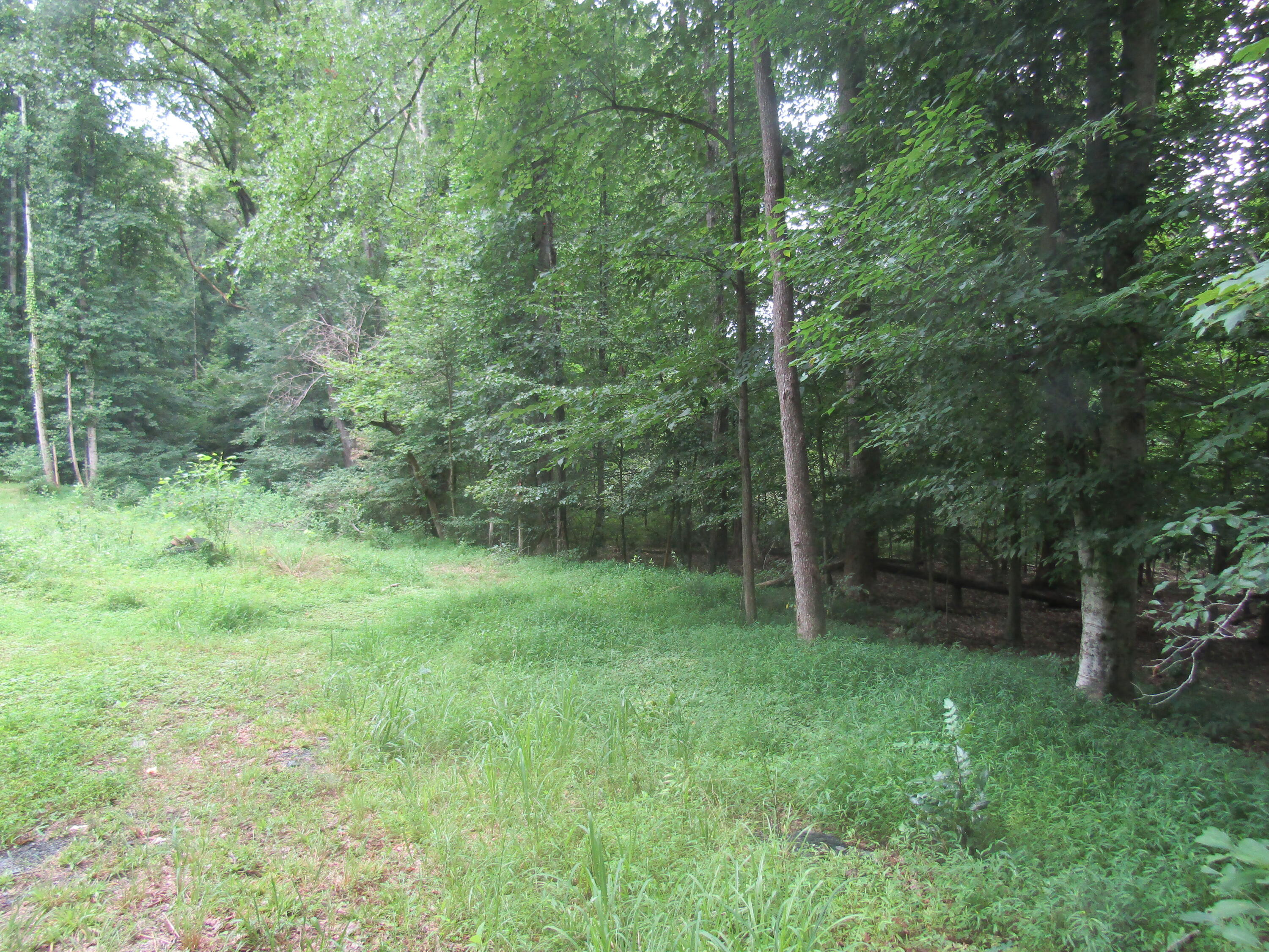 Tbd Baywood Dr S Of Drive
