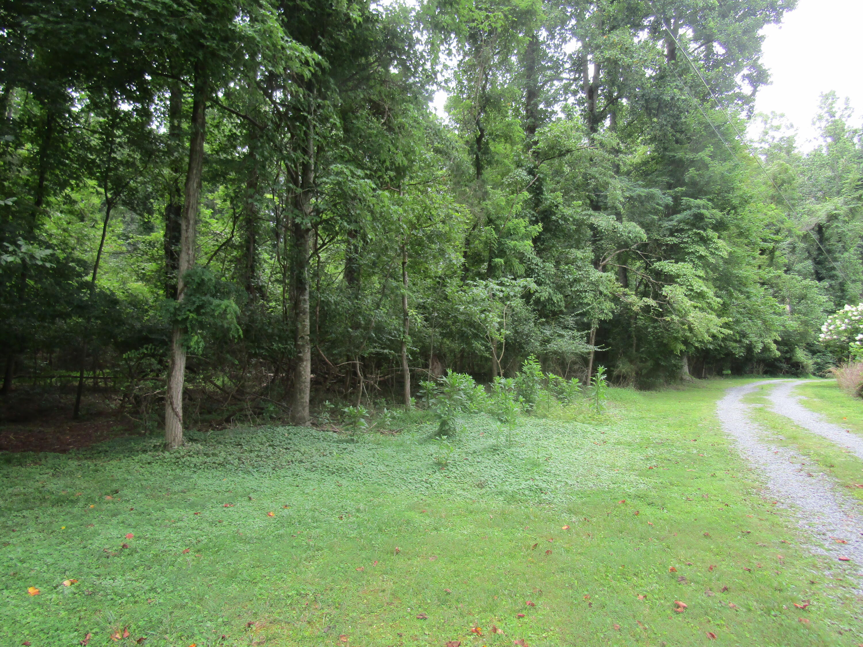 Tbd Baywood Dr S Of Drive