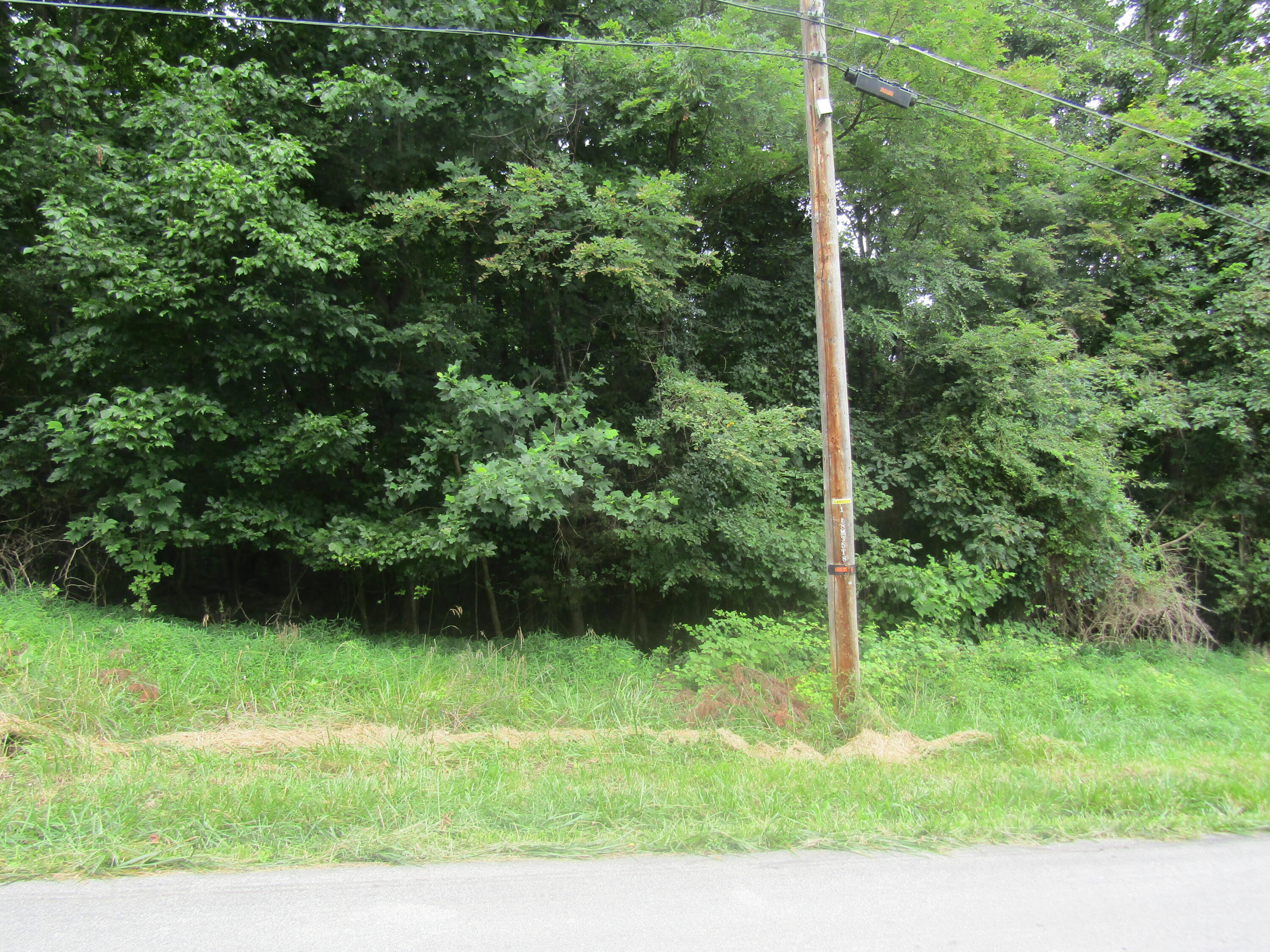 Tbd Baywood Dr S Of Drive