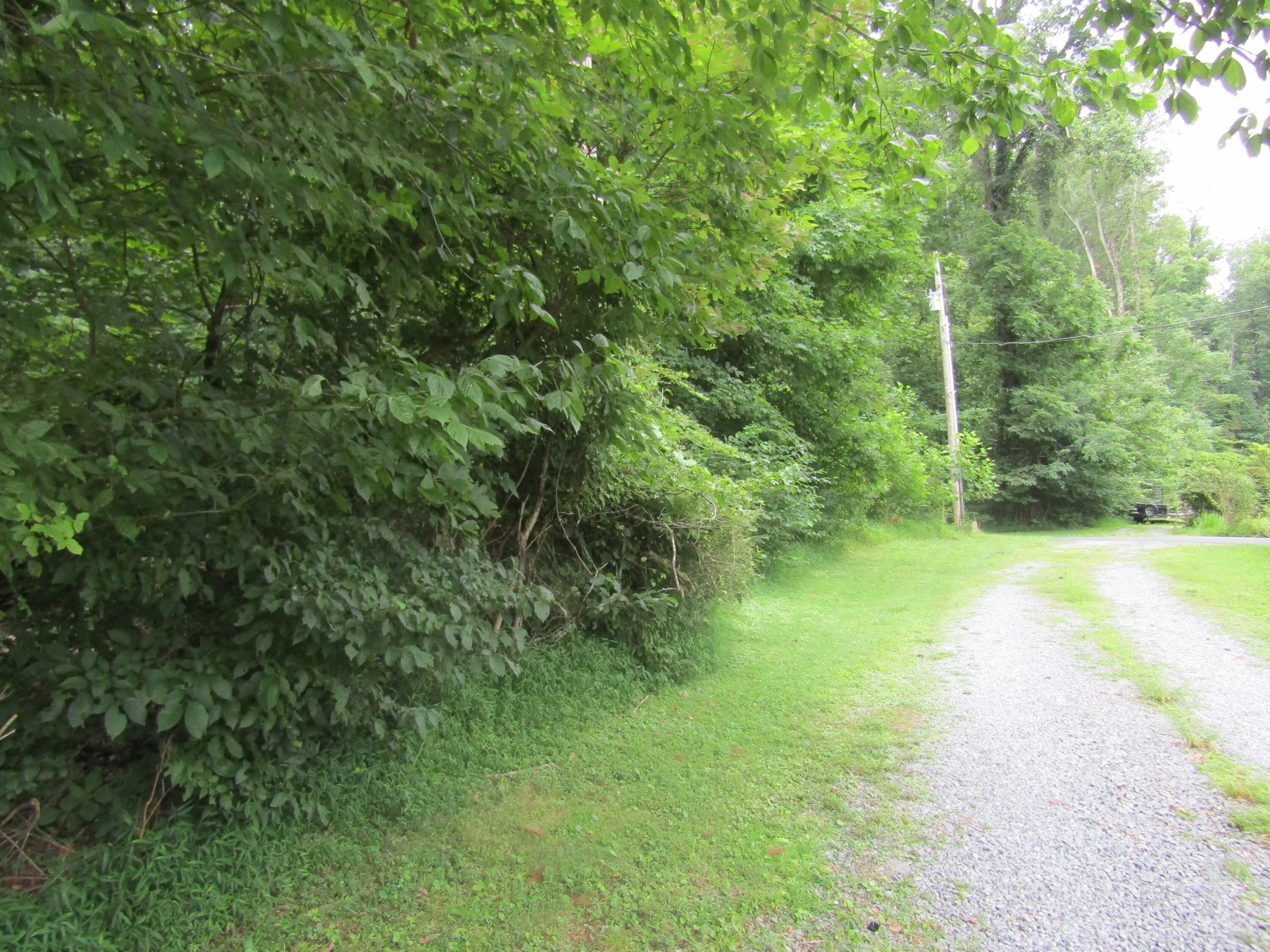 Tbd Baywood Dr S Of Drive
