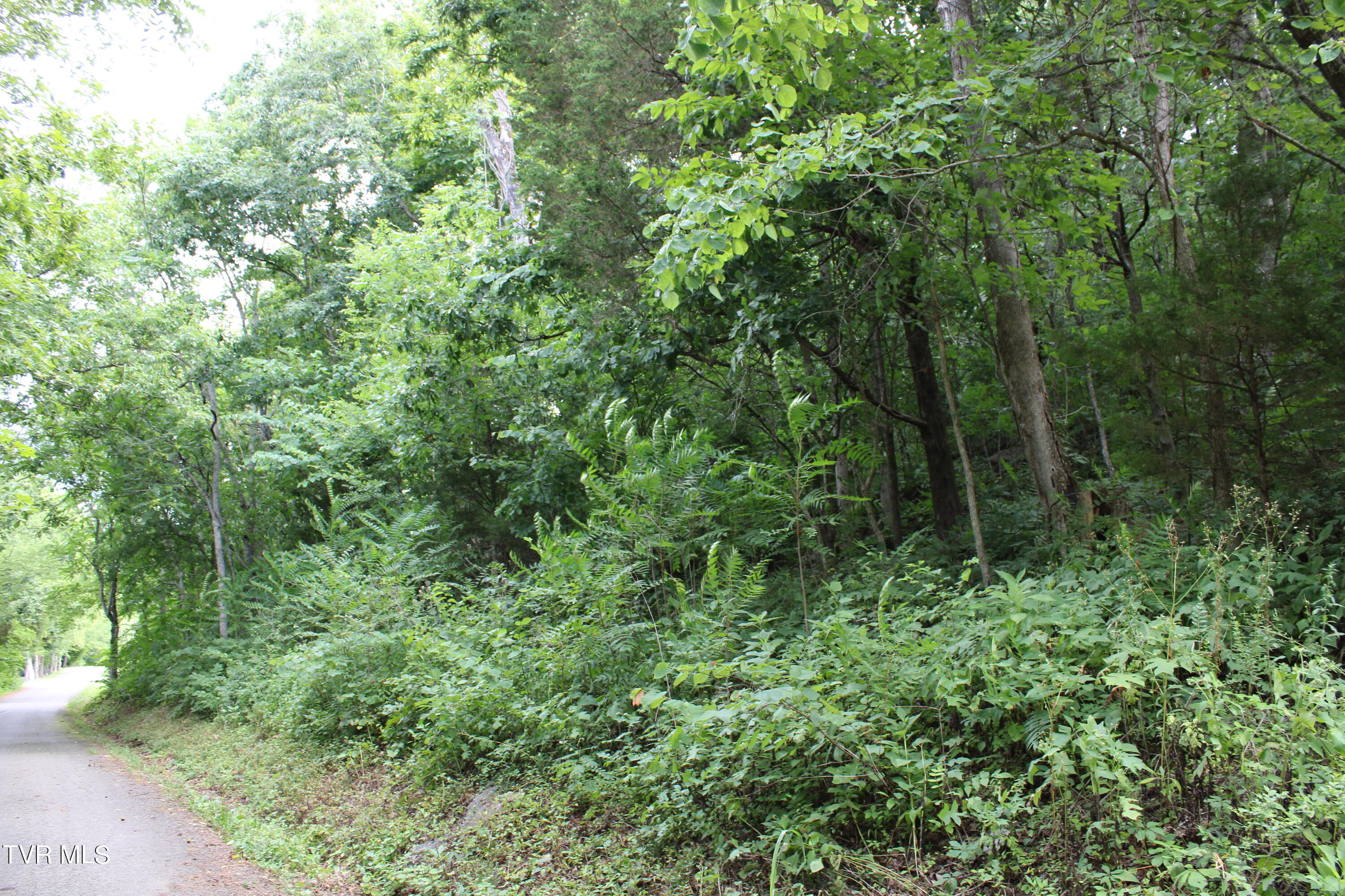2044 Pigeon Creek Road