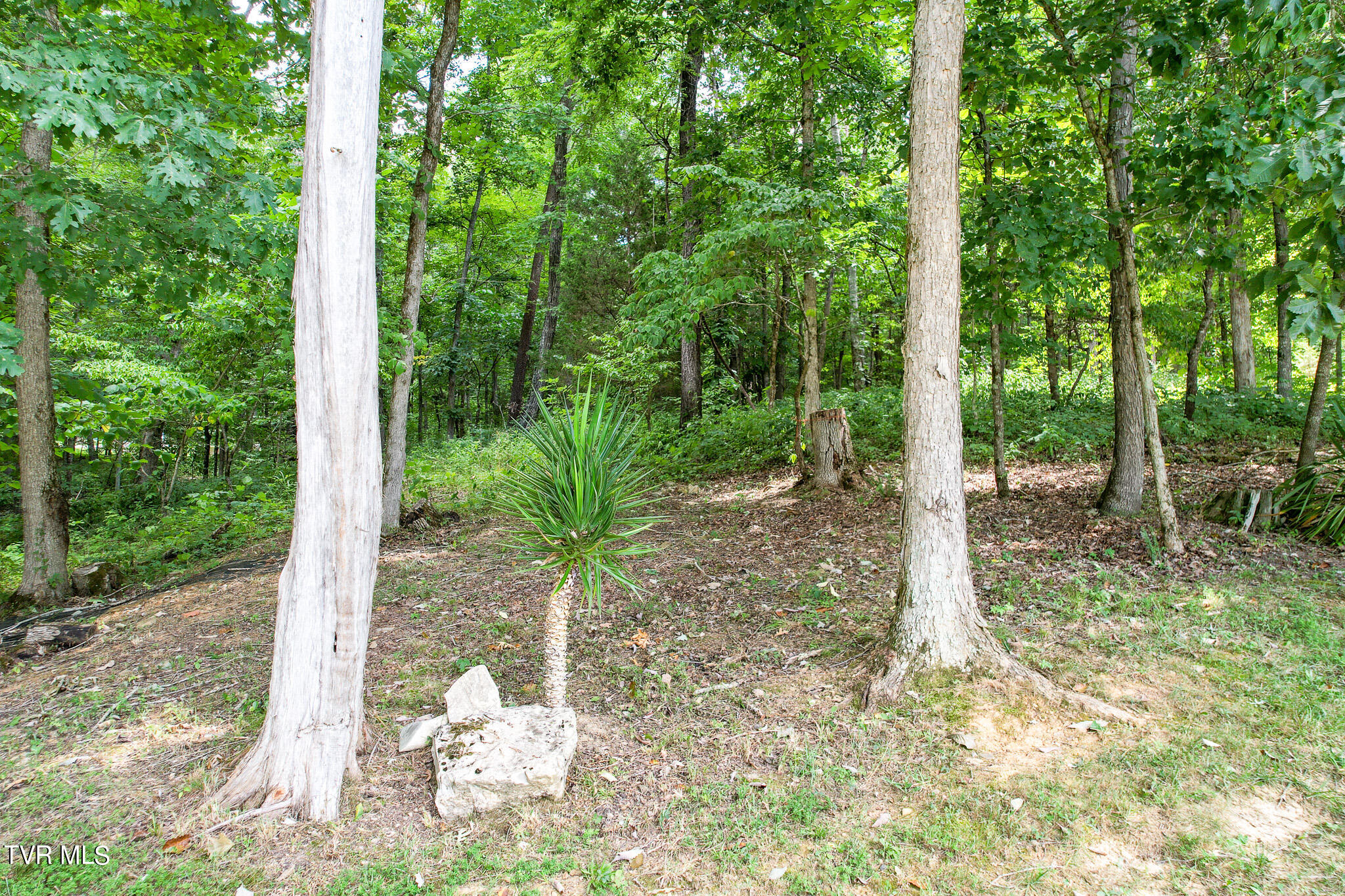 2044 Pigeon Creek Road
