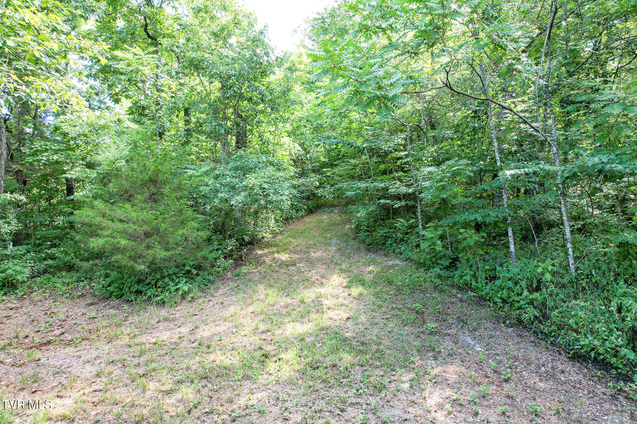 2044 Pigeon Creek Road
