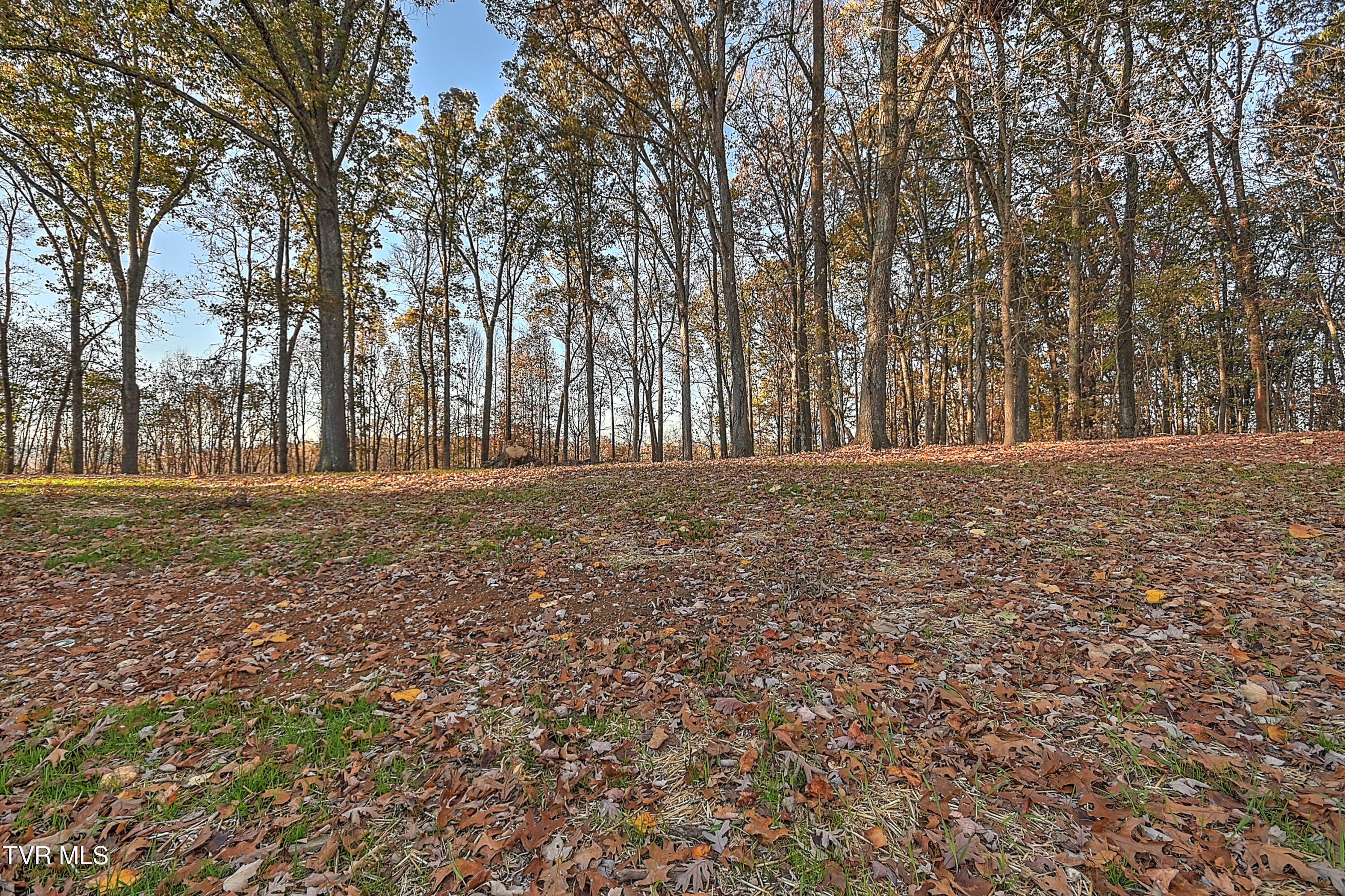 411 Spring Valley Circle