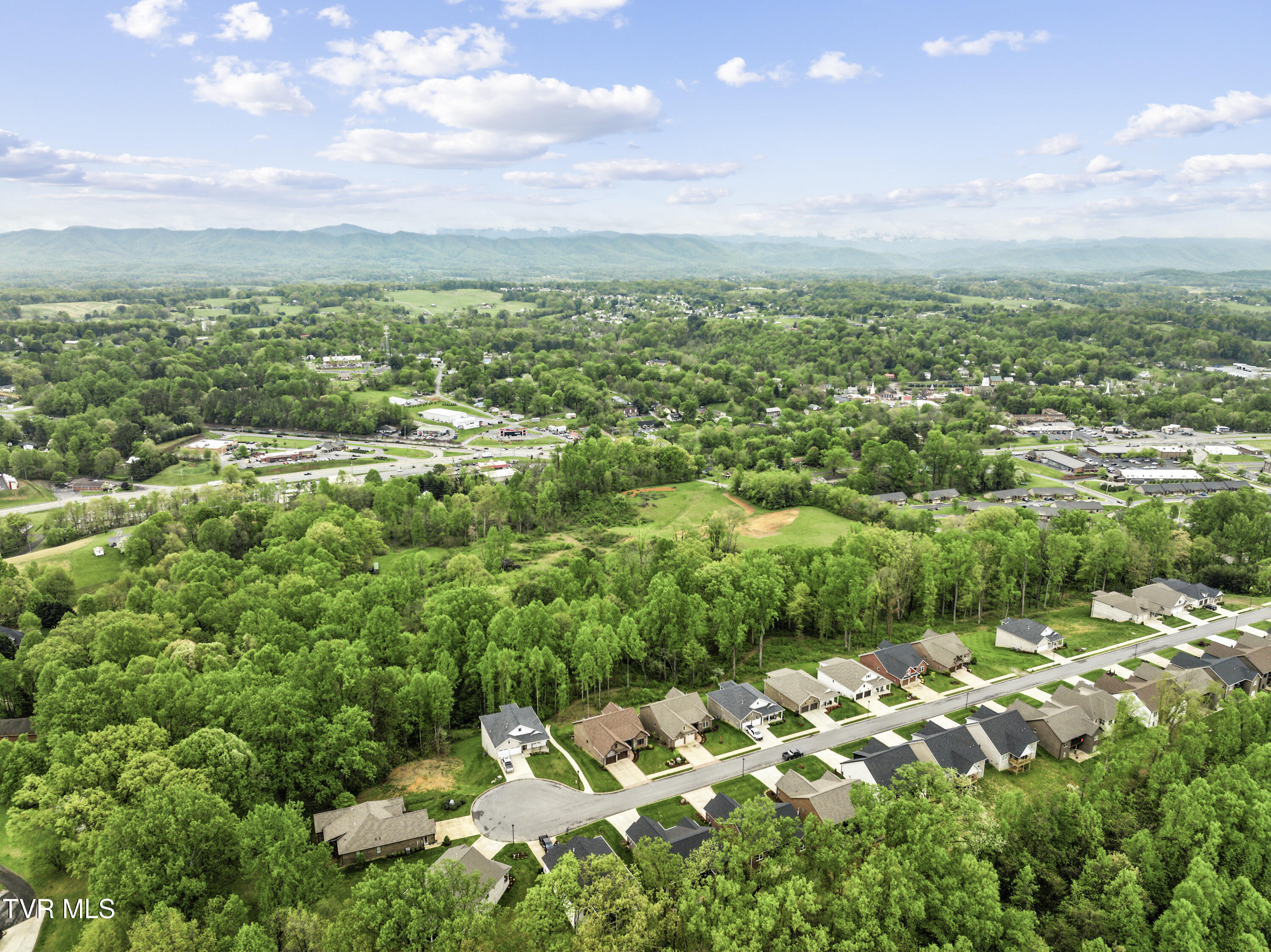 491 English Ivy Trail