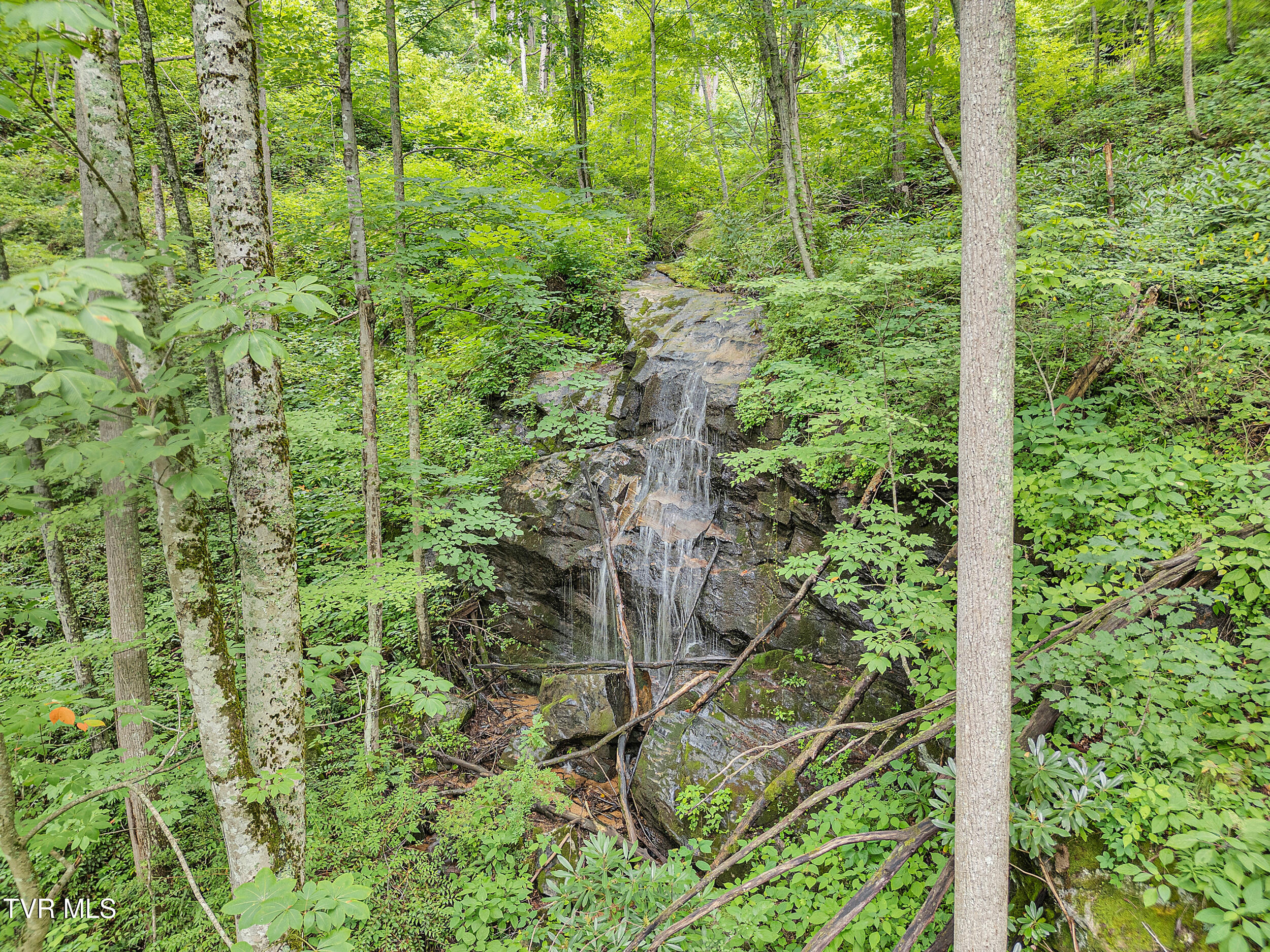 292 Old Railroad Grade Road